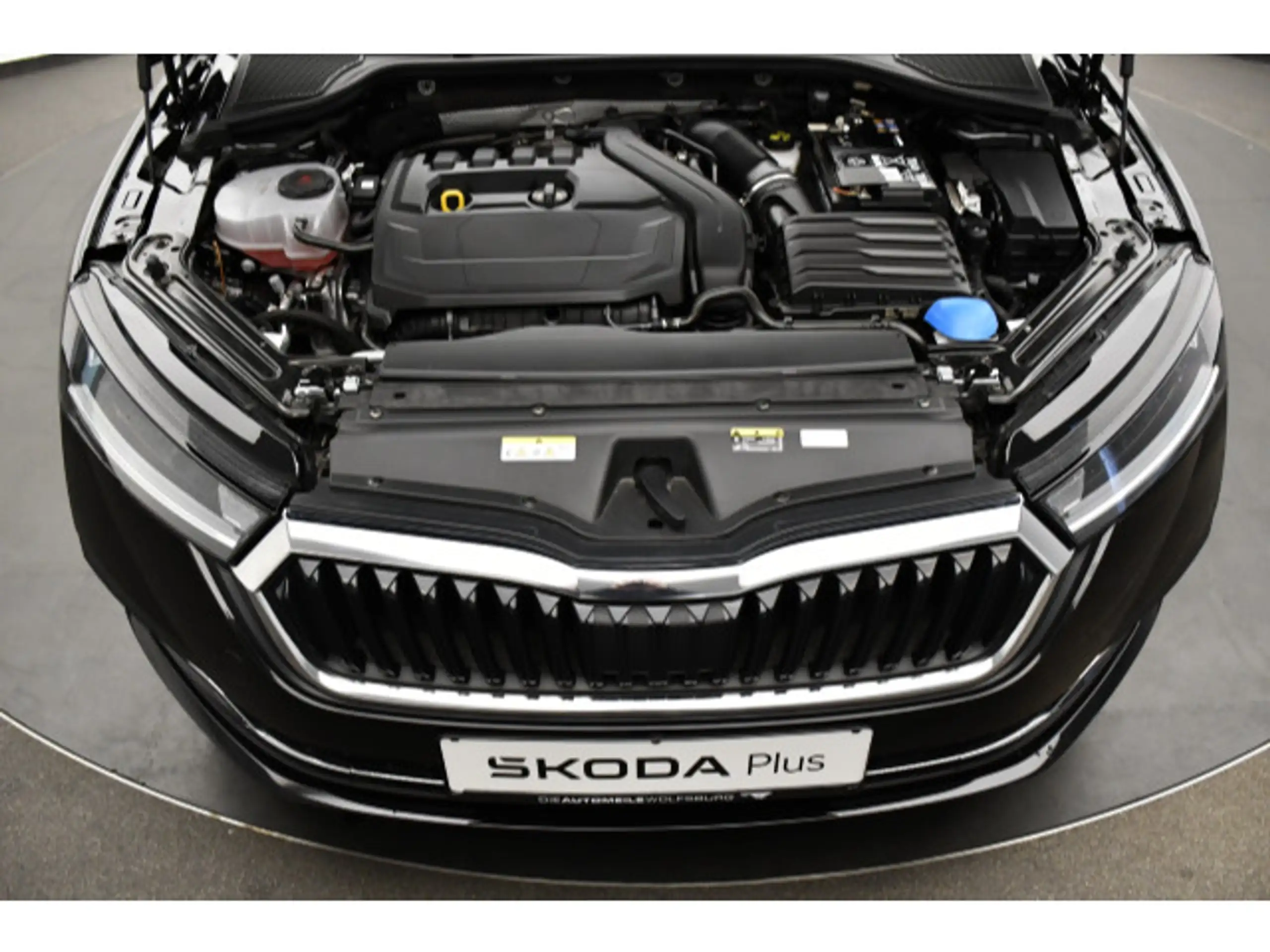 Skoda - Octavia