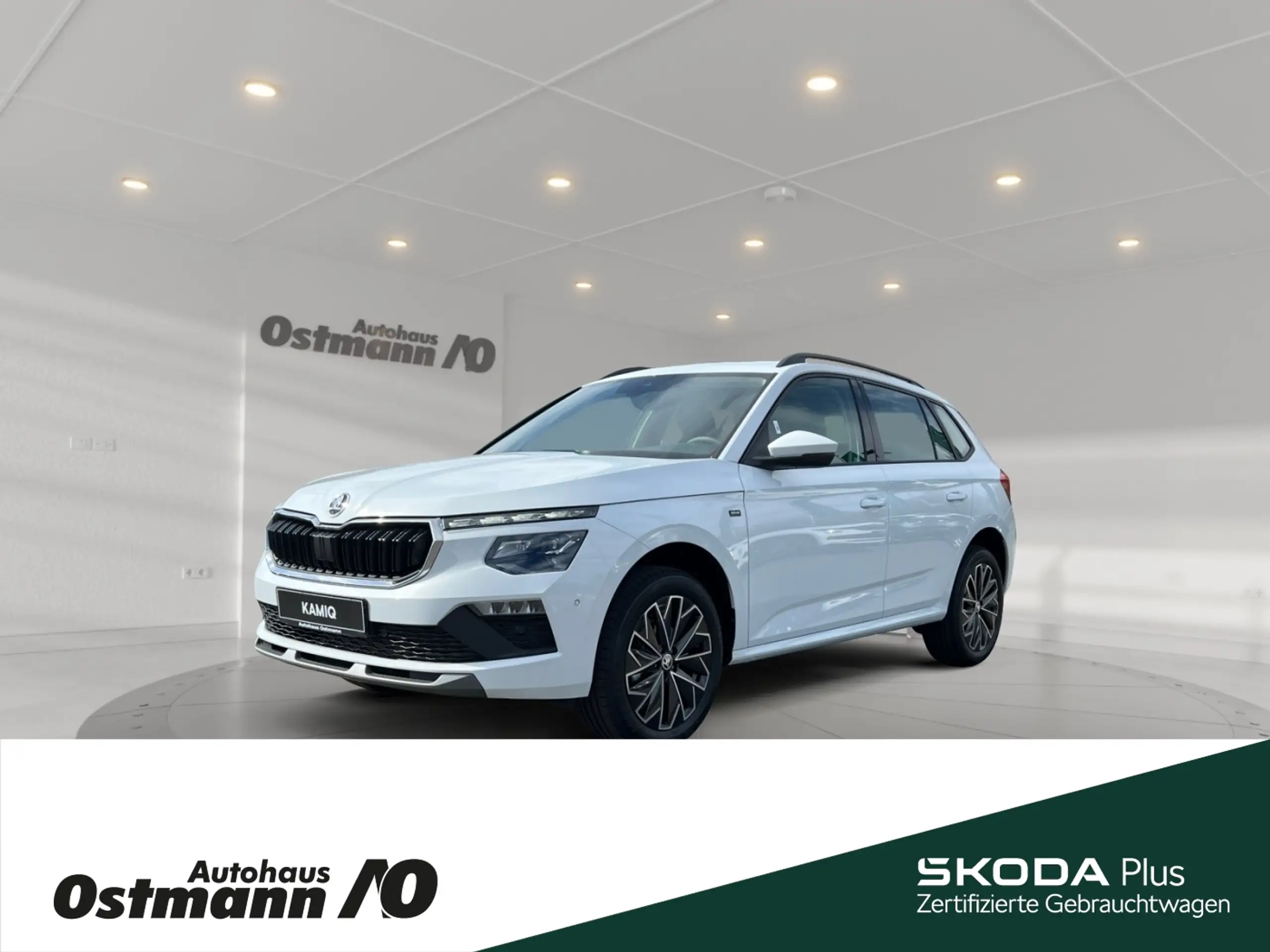 Skoda Kamiq 2024