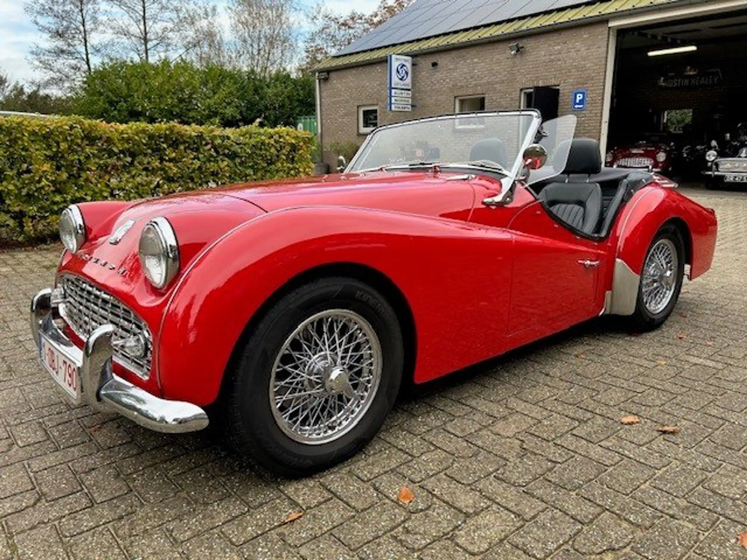 Triumph - TR3