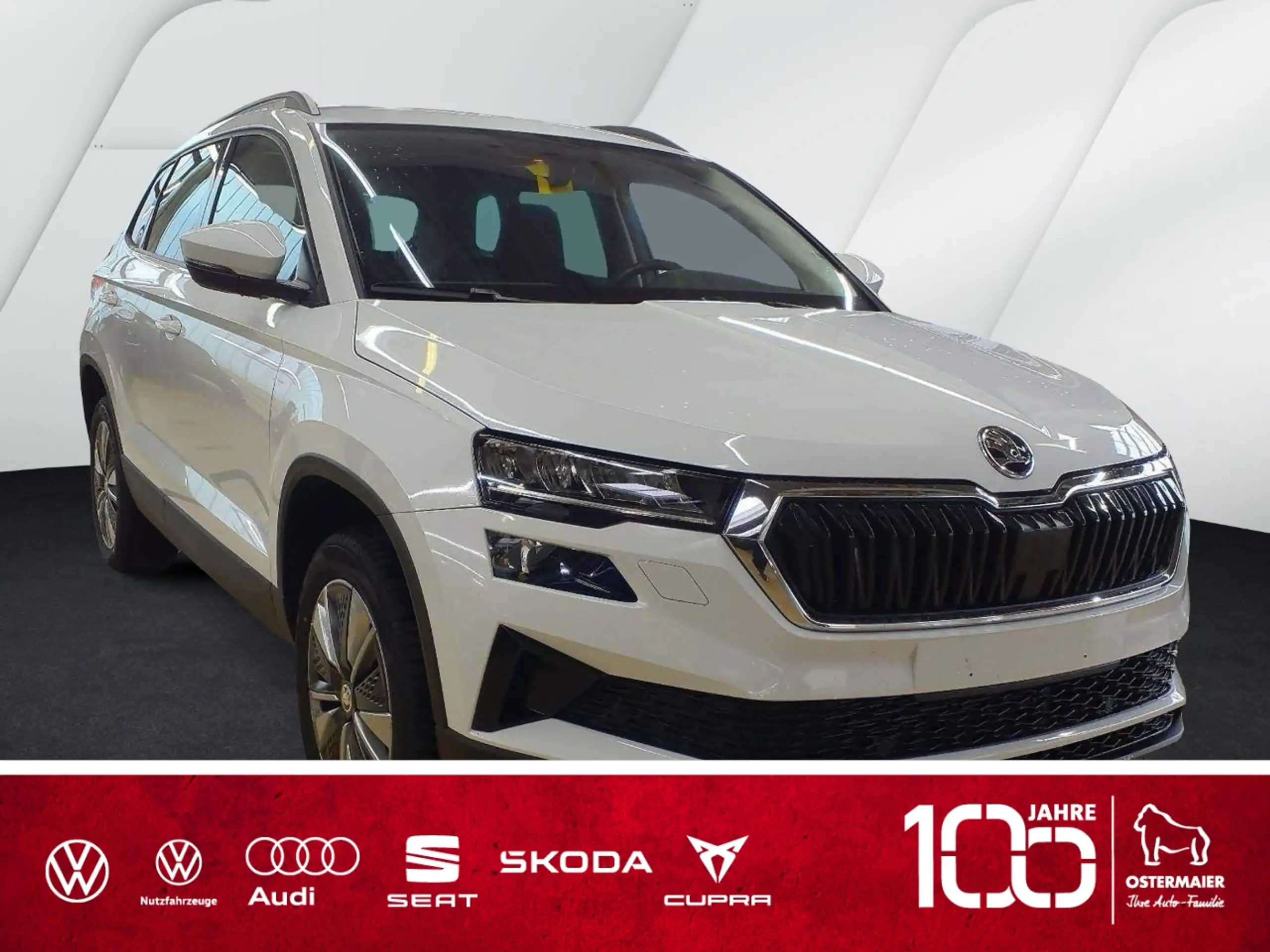 Skoda Karoq 2024