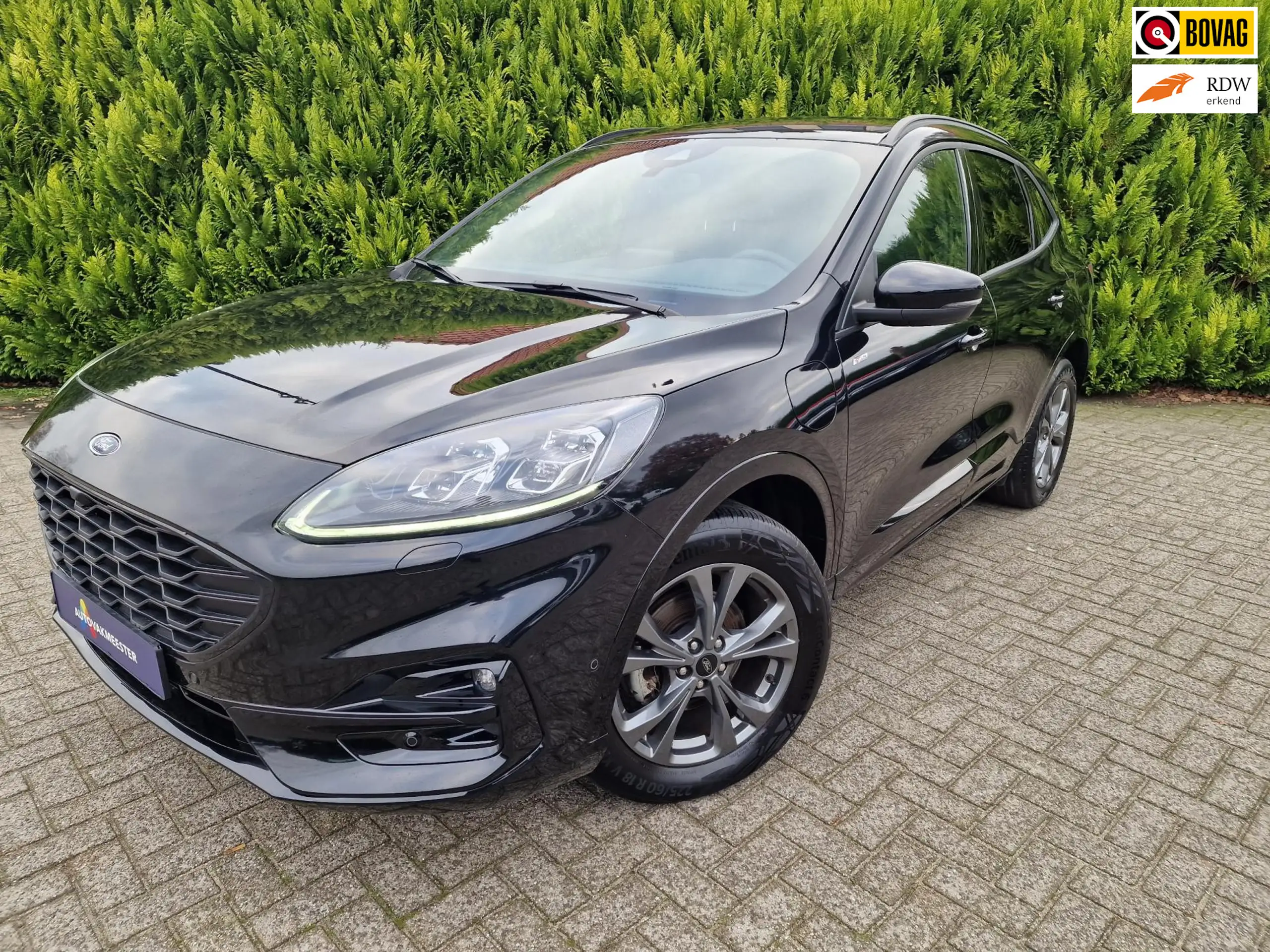 Ford - Kuga