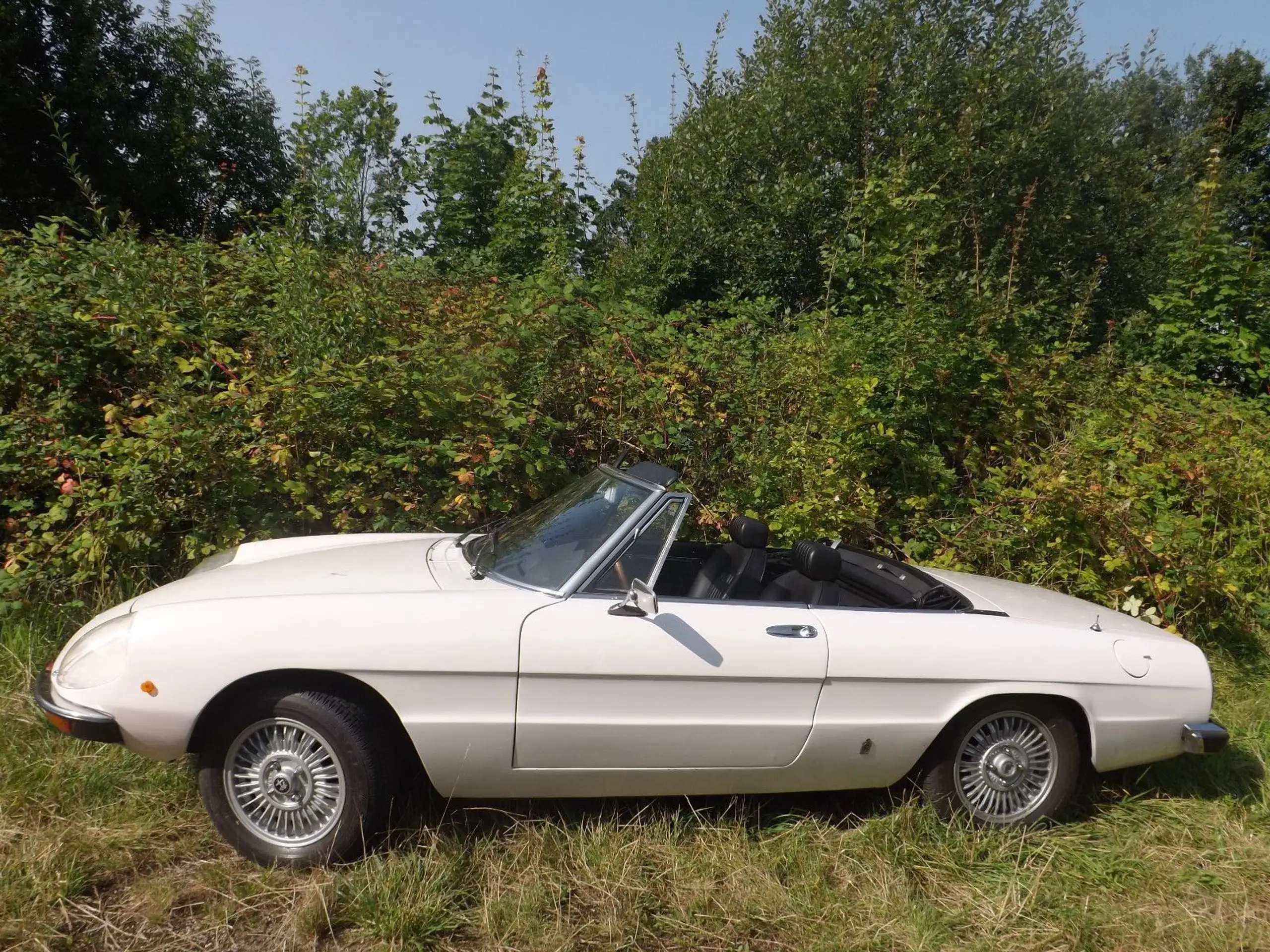 Alfa Romeo - Spider