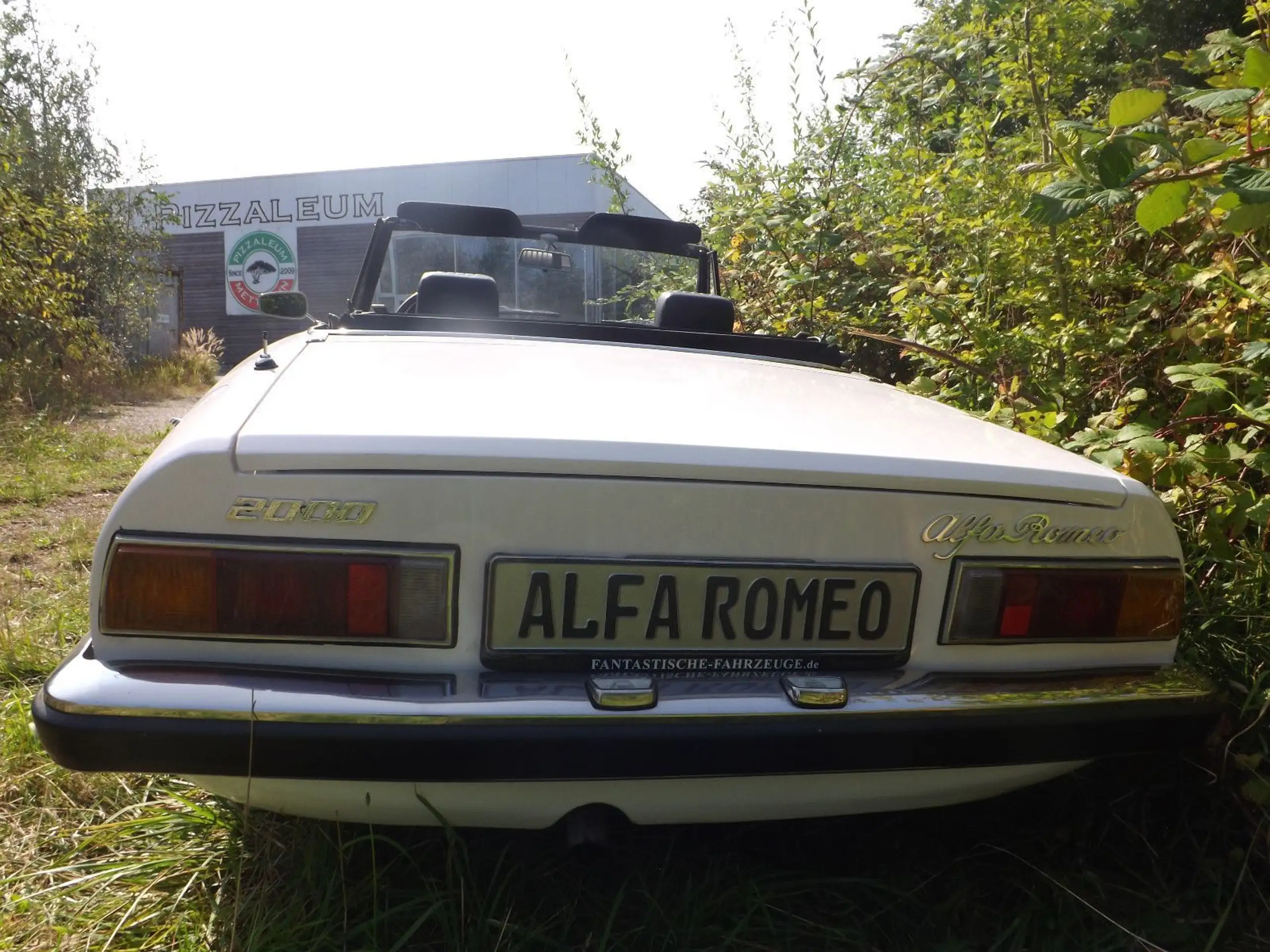 Alfa Romeo - Spider