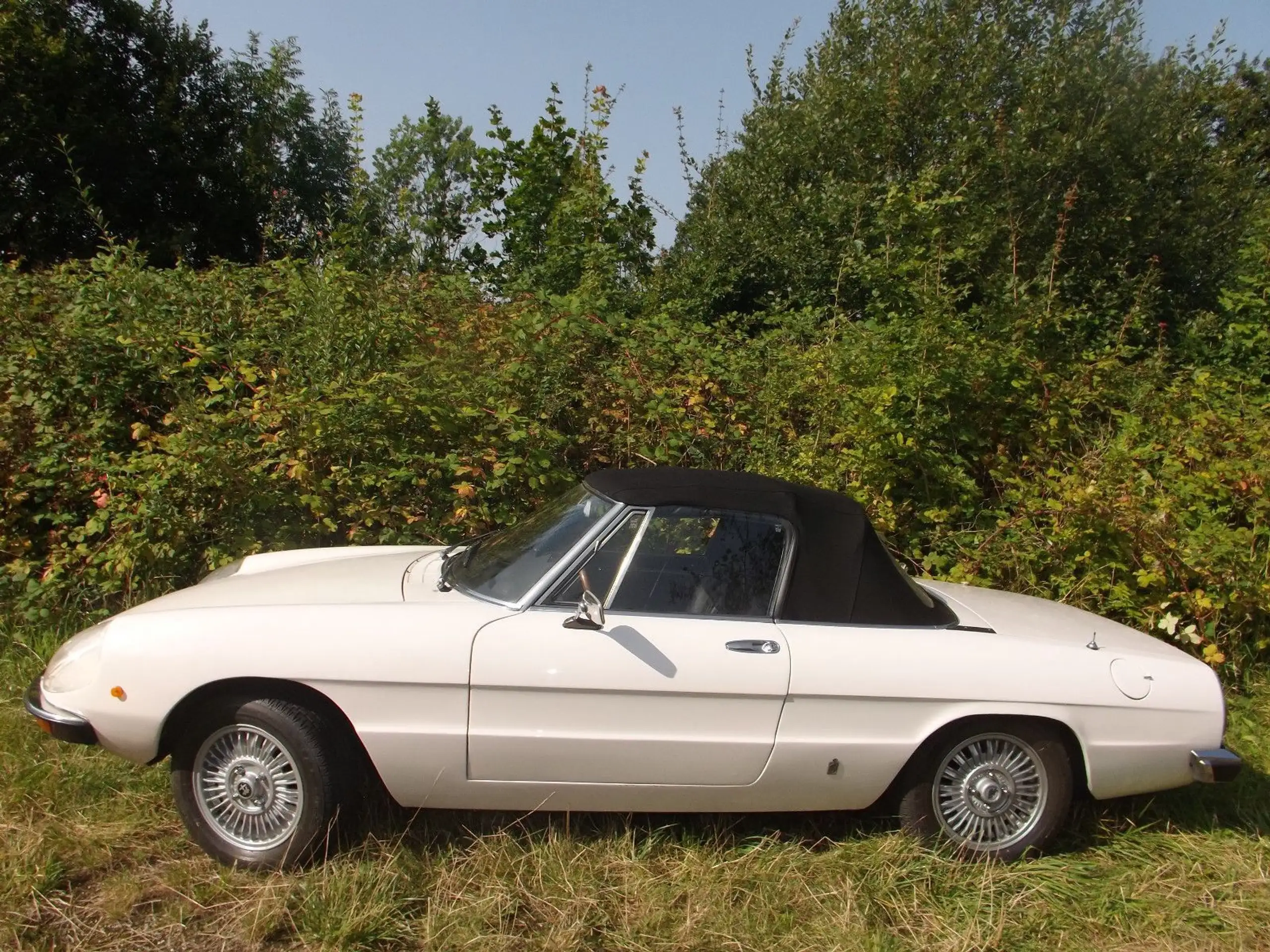 Alfa Romeo - Spider