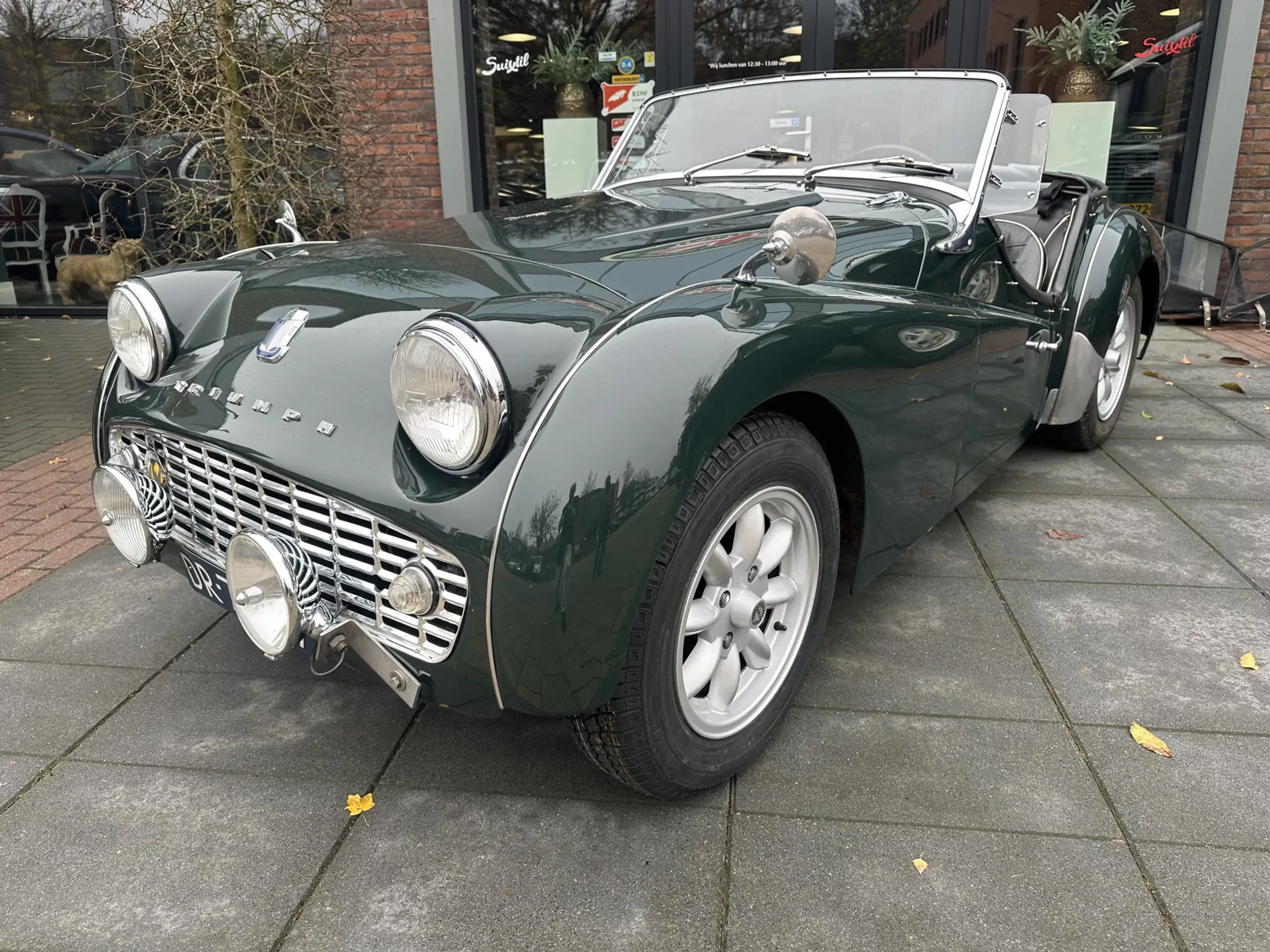 Austin-Healey Others 1959