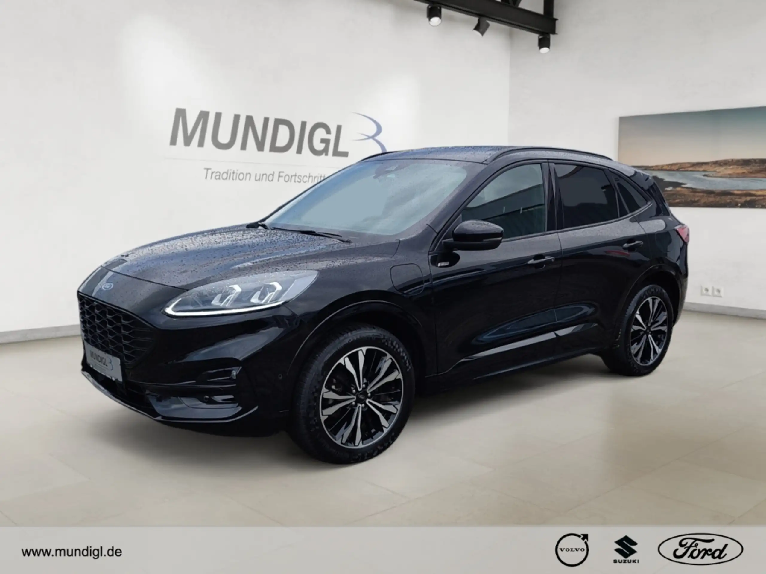 Ford - Kuga