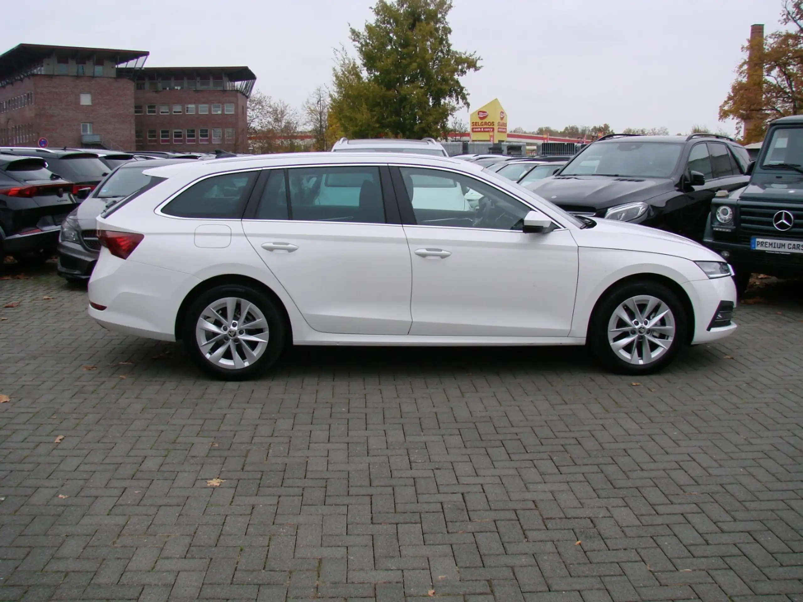 Skoda - Octavia