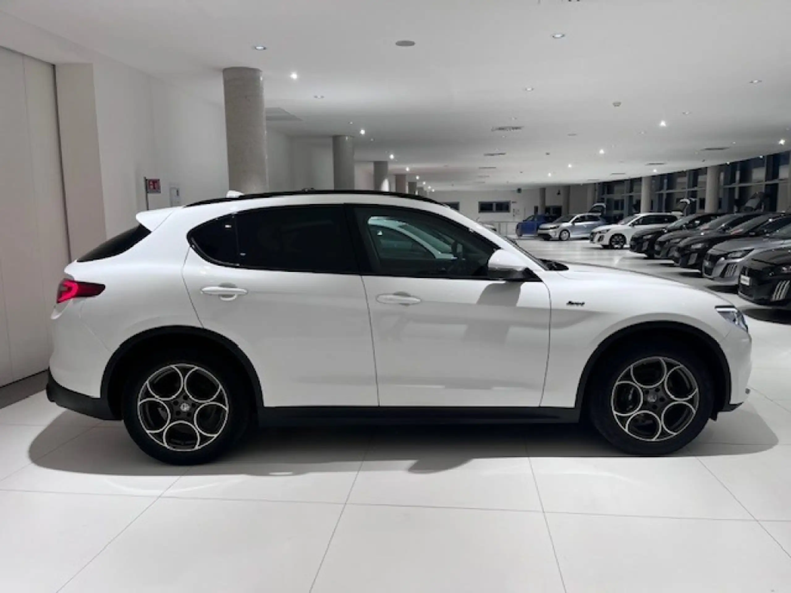 Alfa Romeo - Stelvio