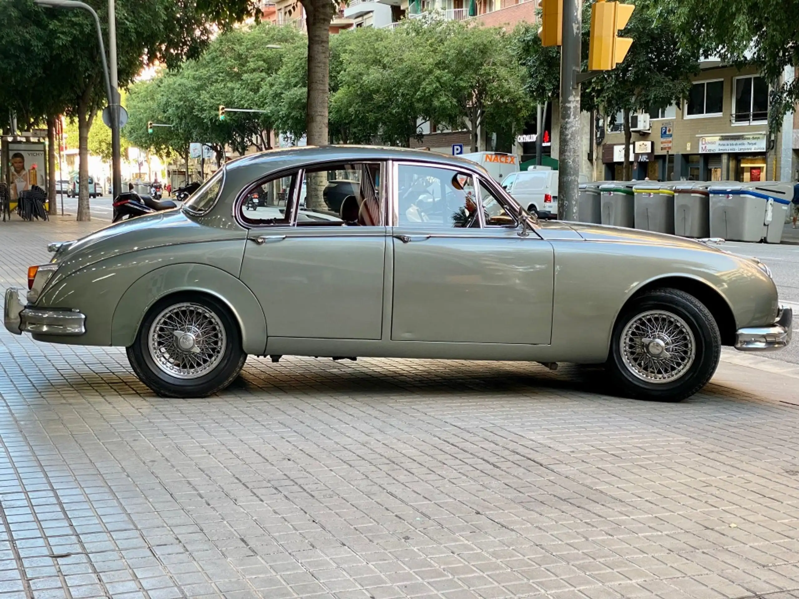 Austin-Healey - Others