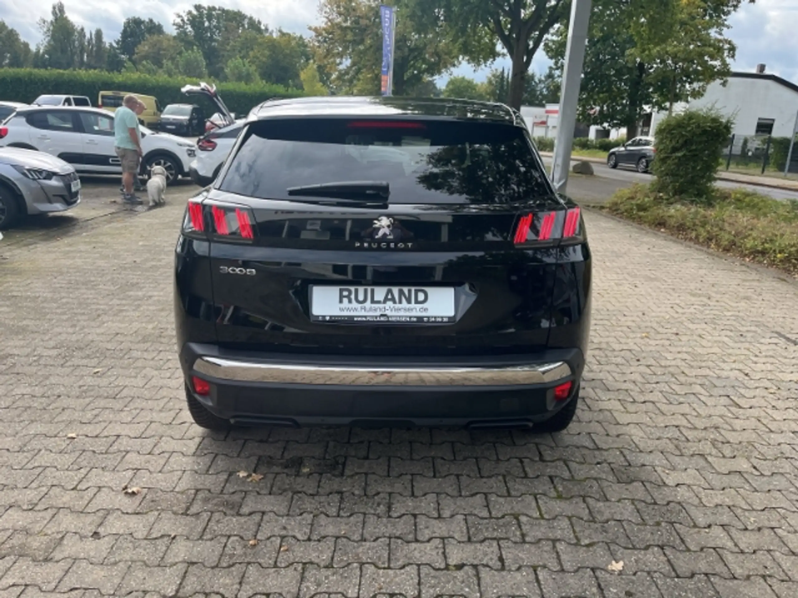 Peugeot - 3008