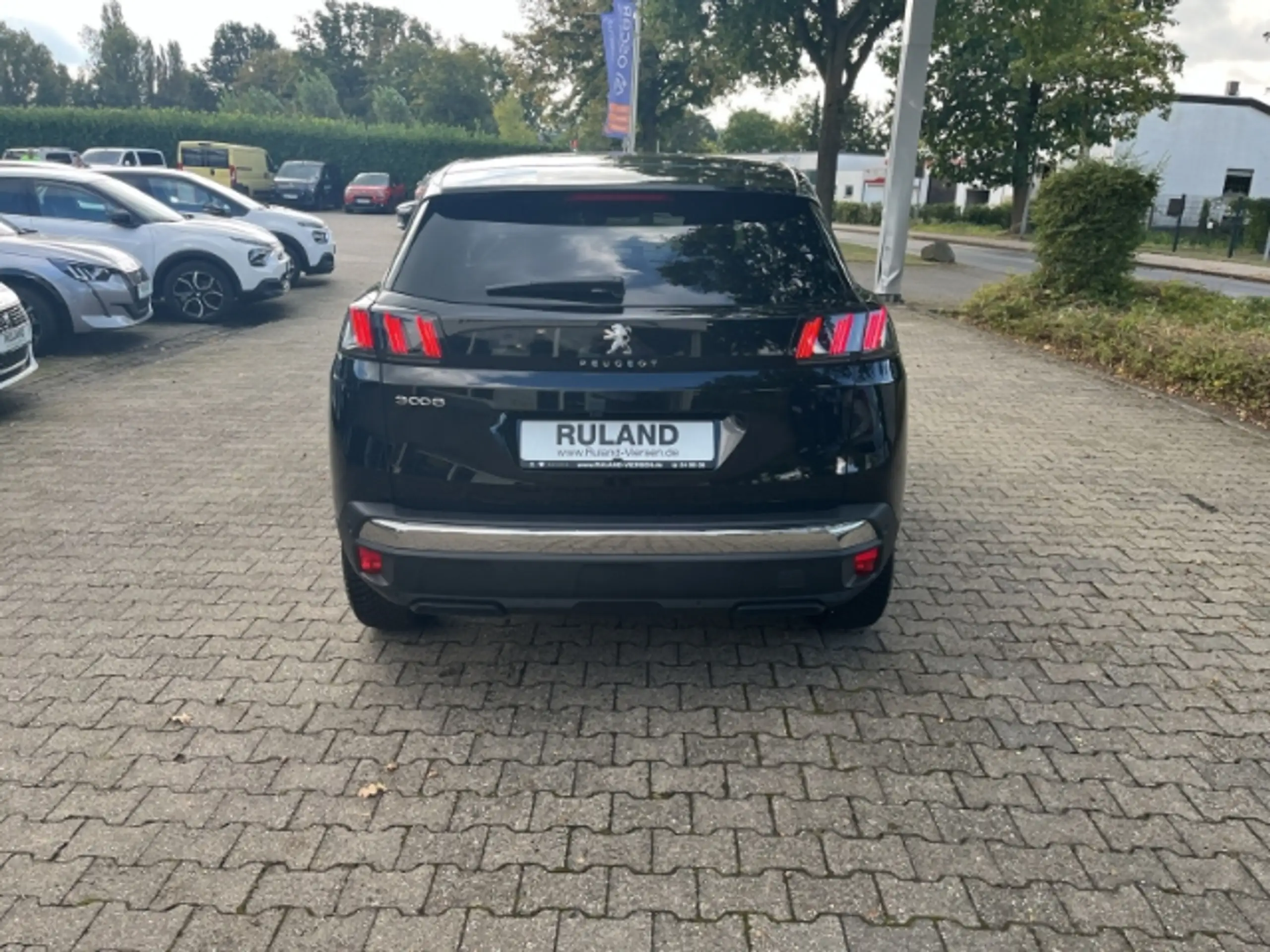 Peugeot - 3008