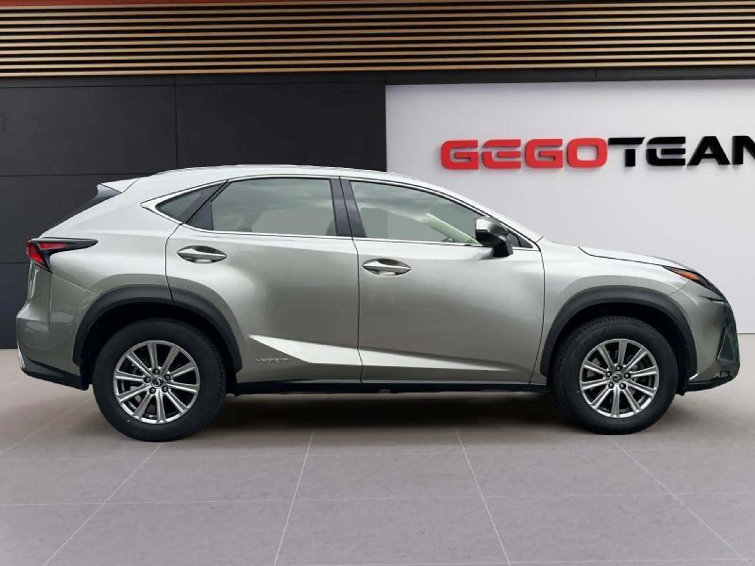 Lexus - NX 300h