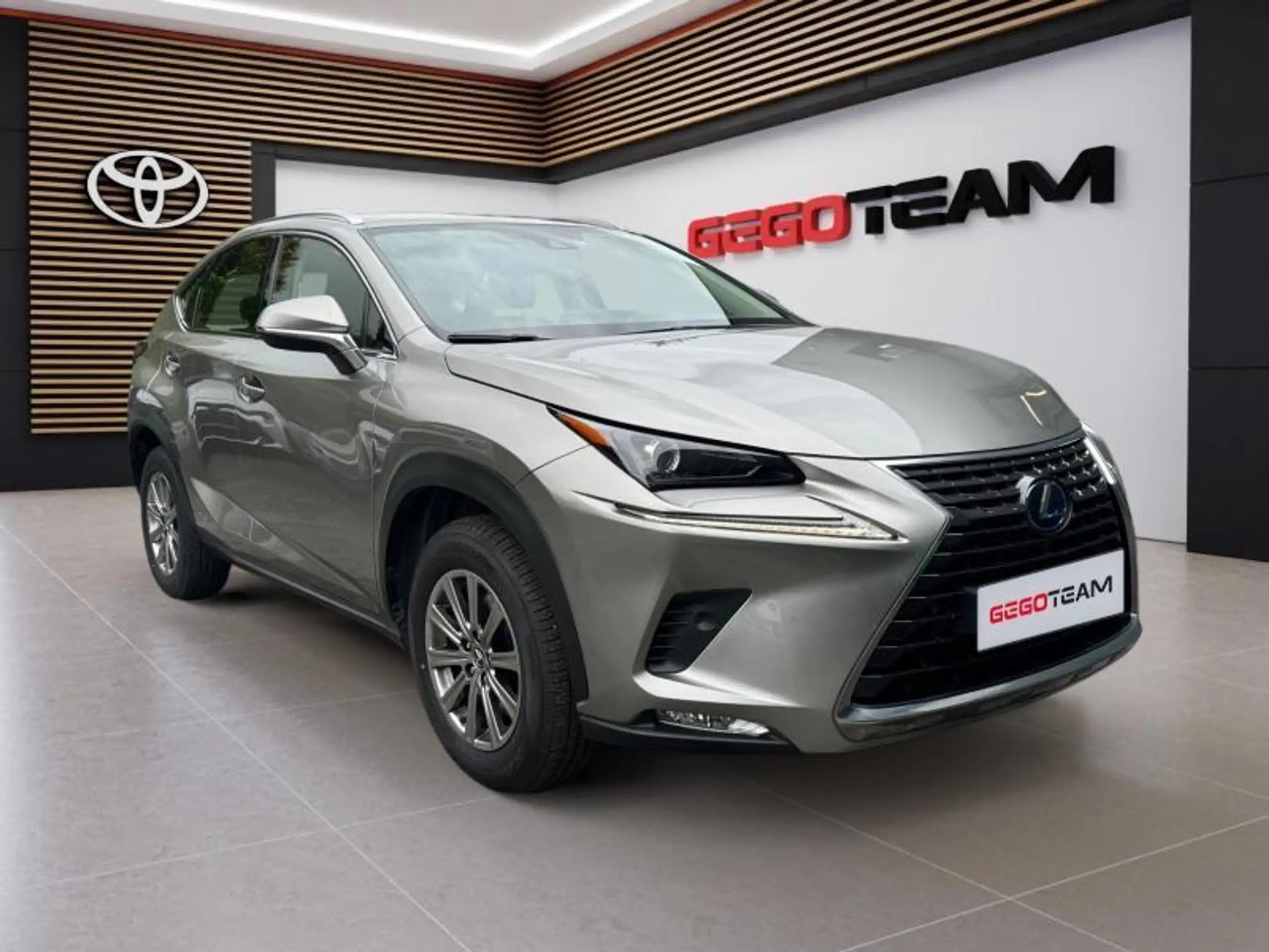 Lexus - NX 300h