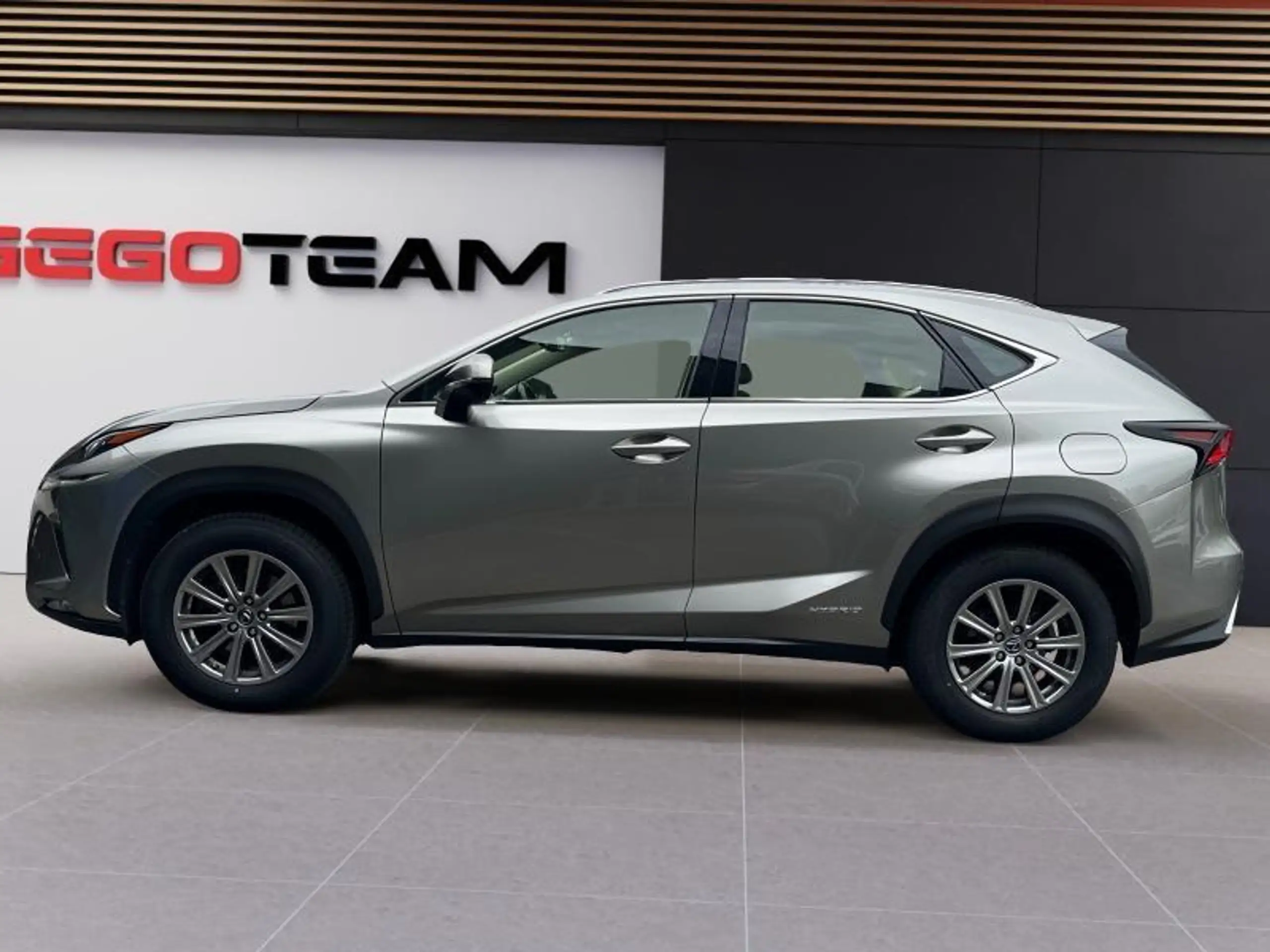 Lexus - NX 300h