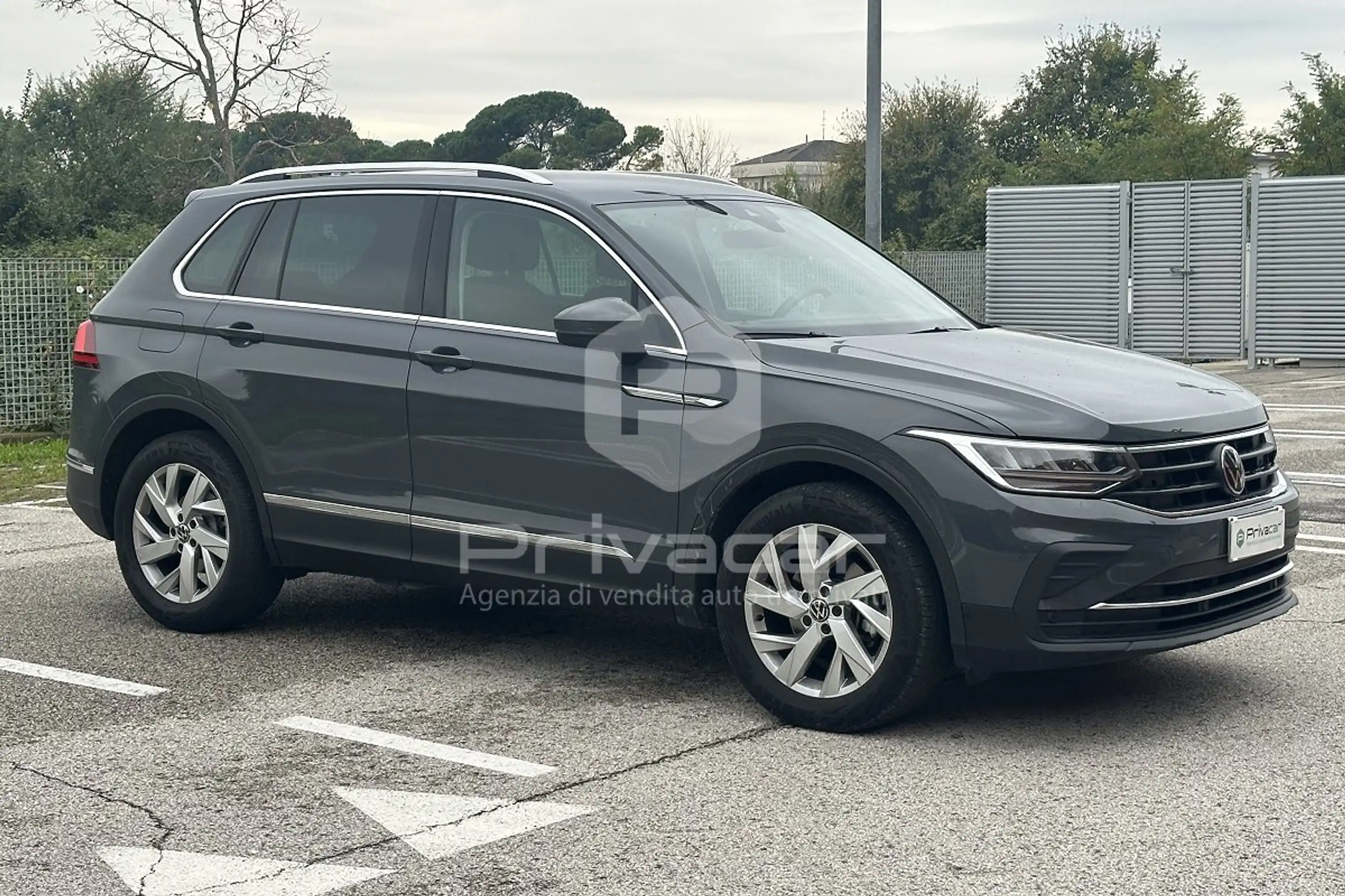 Volkswagen - Tiguan