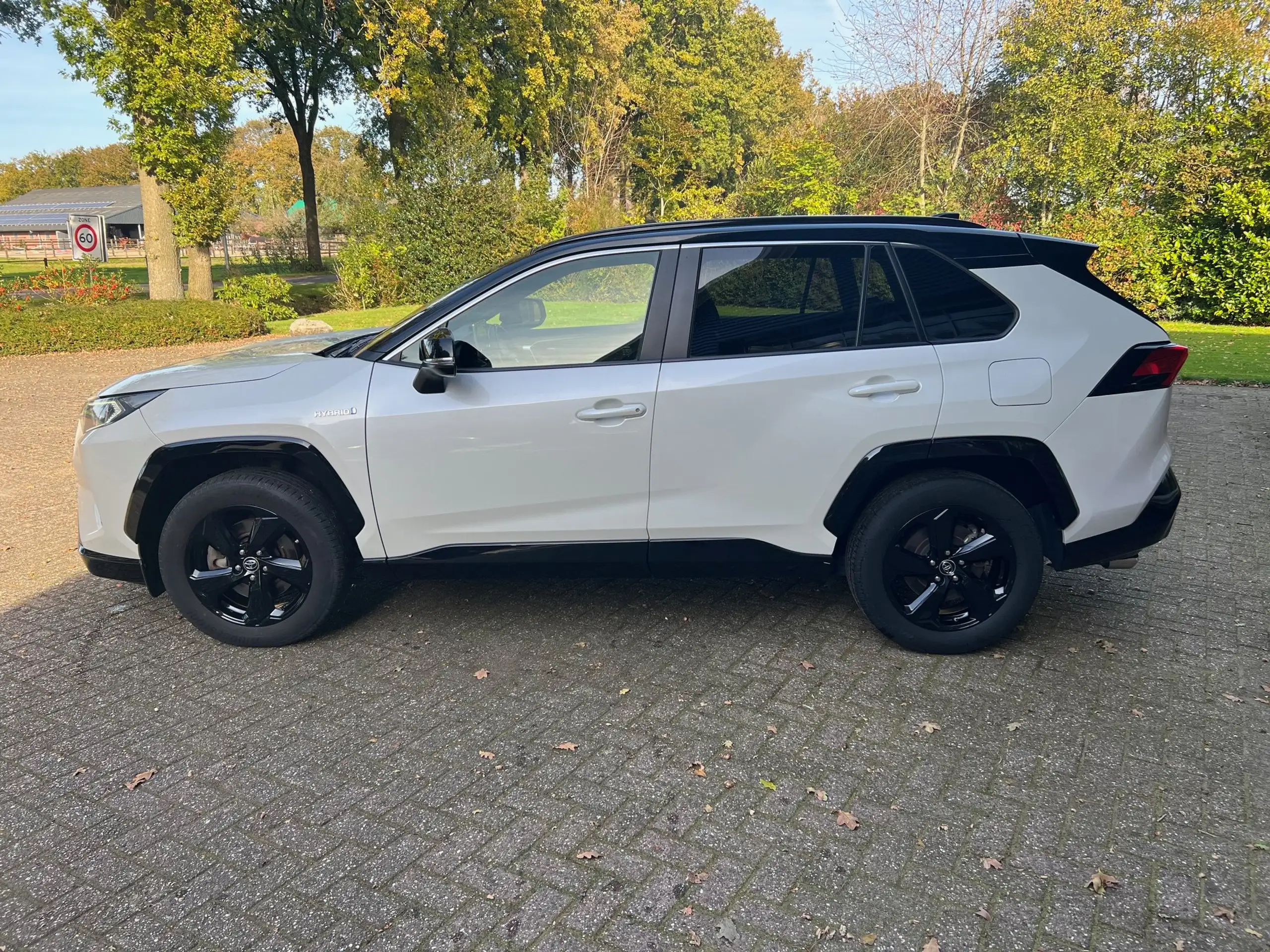 Toyota - RAV 4