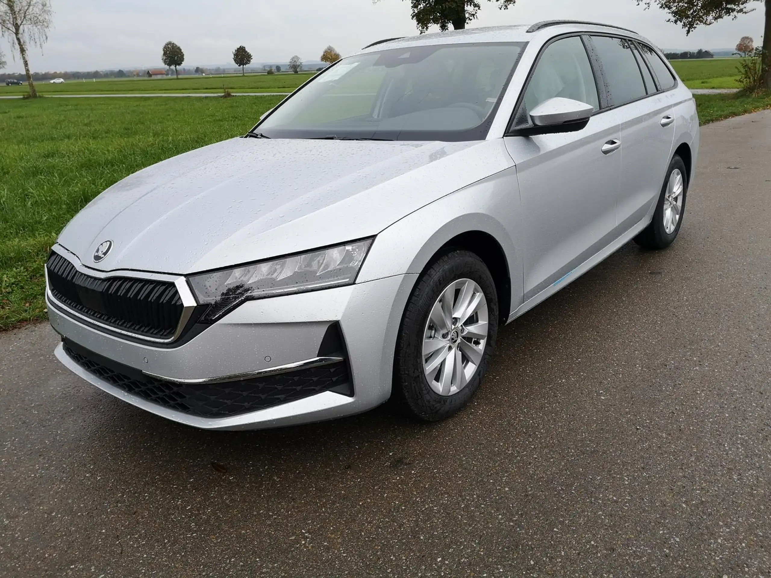 Skoda - Octavia