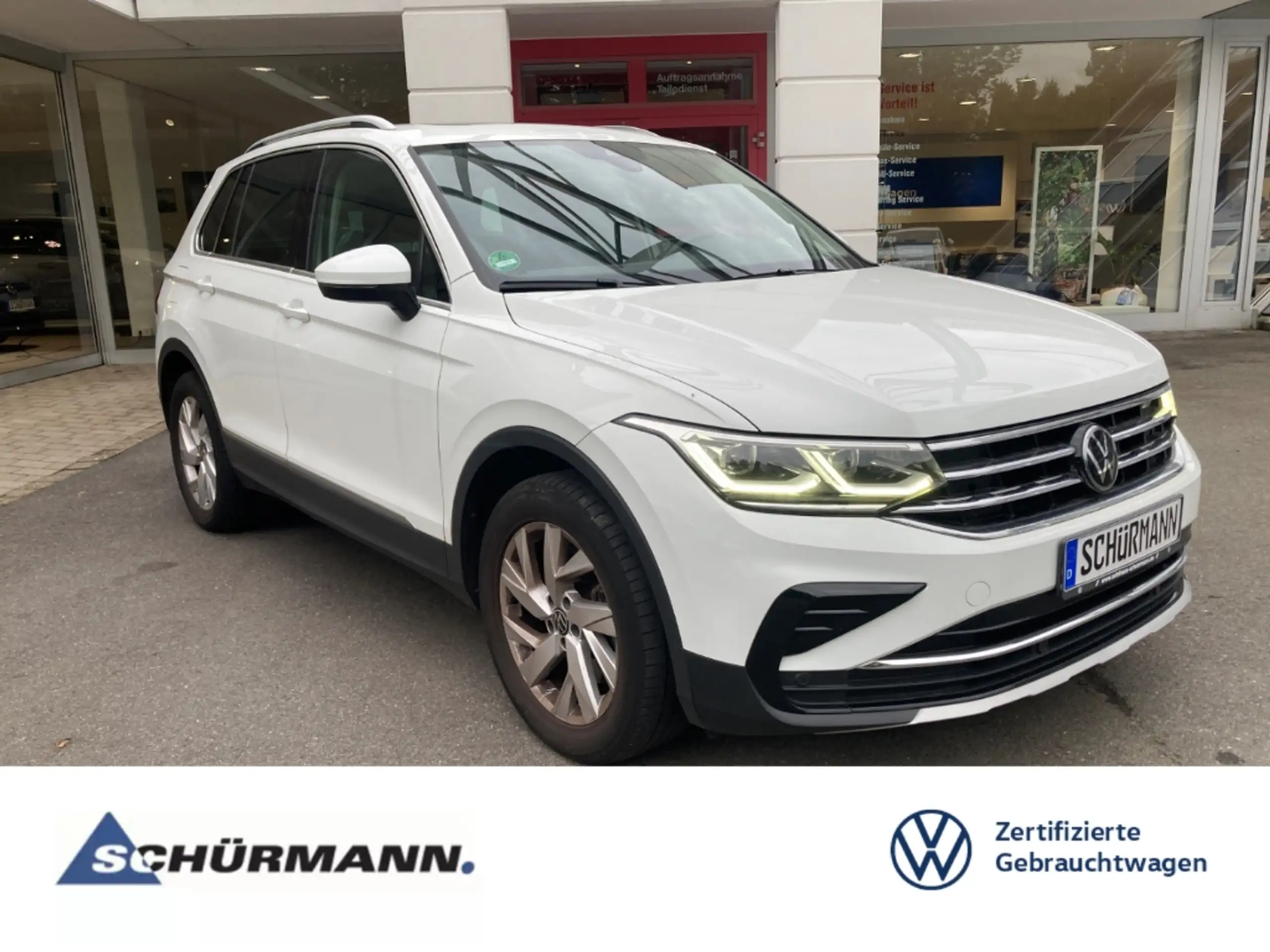 Volkswagen - Tiguan