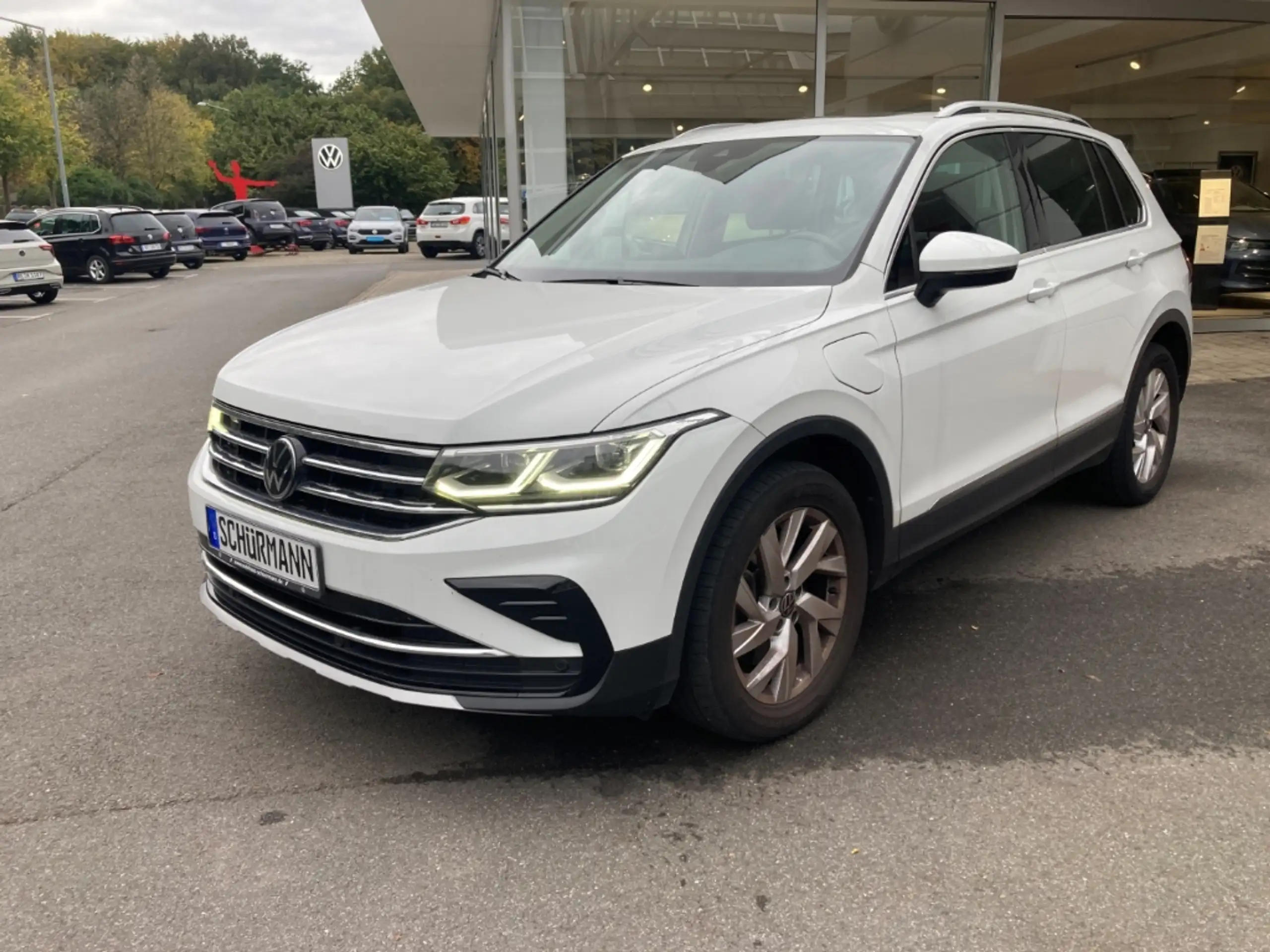 Volkswagen - Tiguan