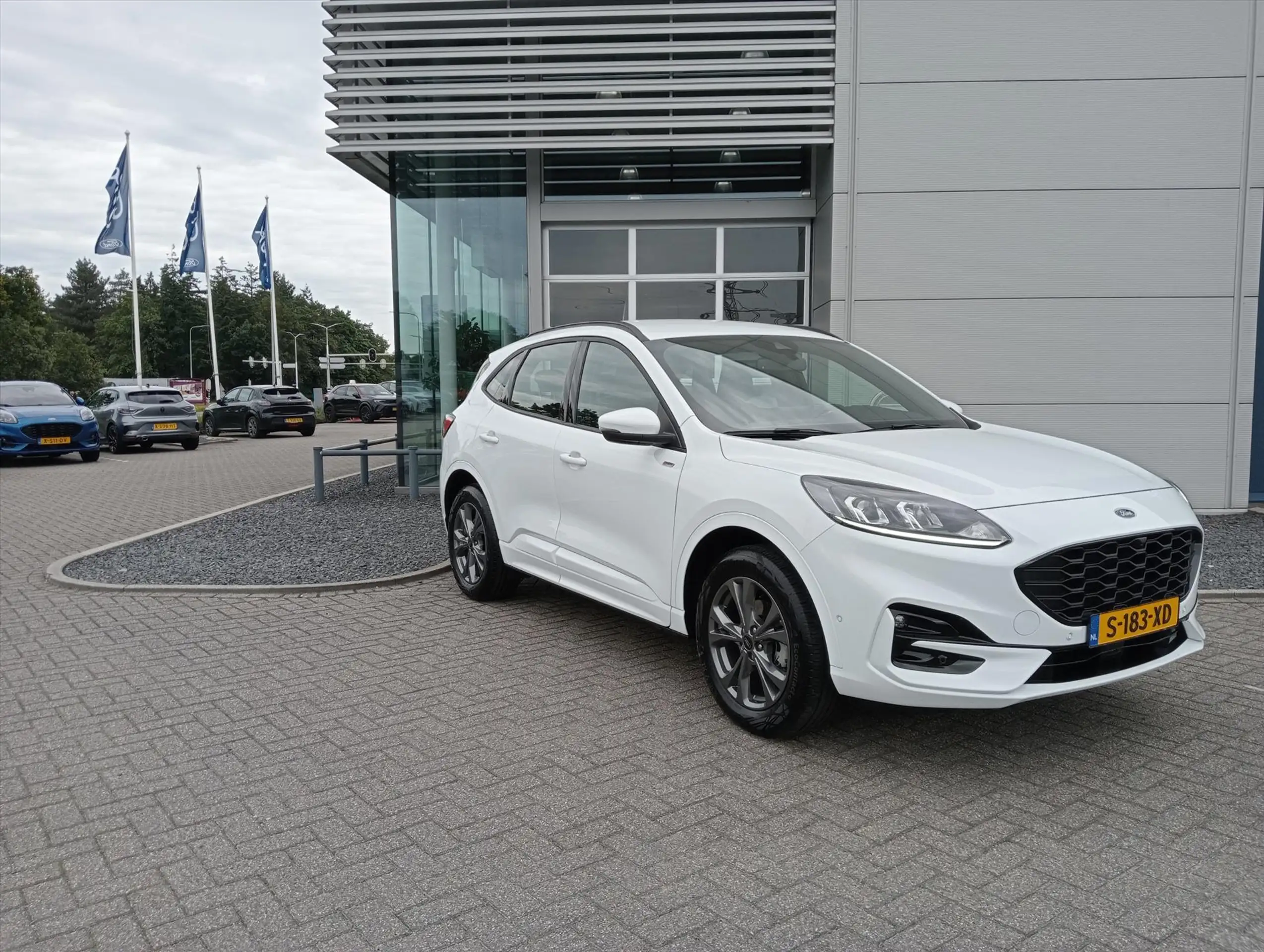 Ford - Kuga