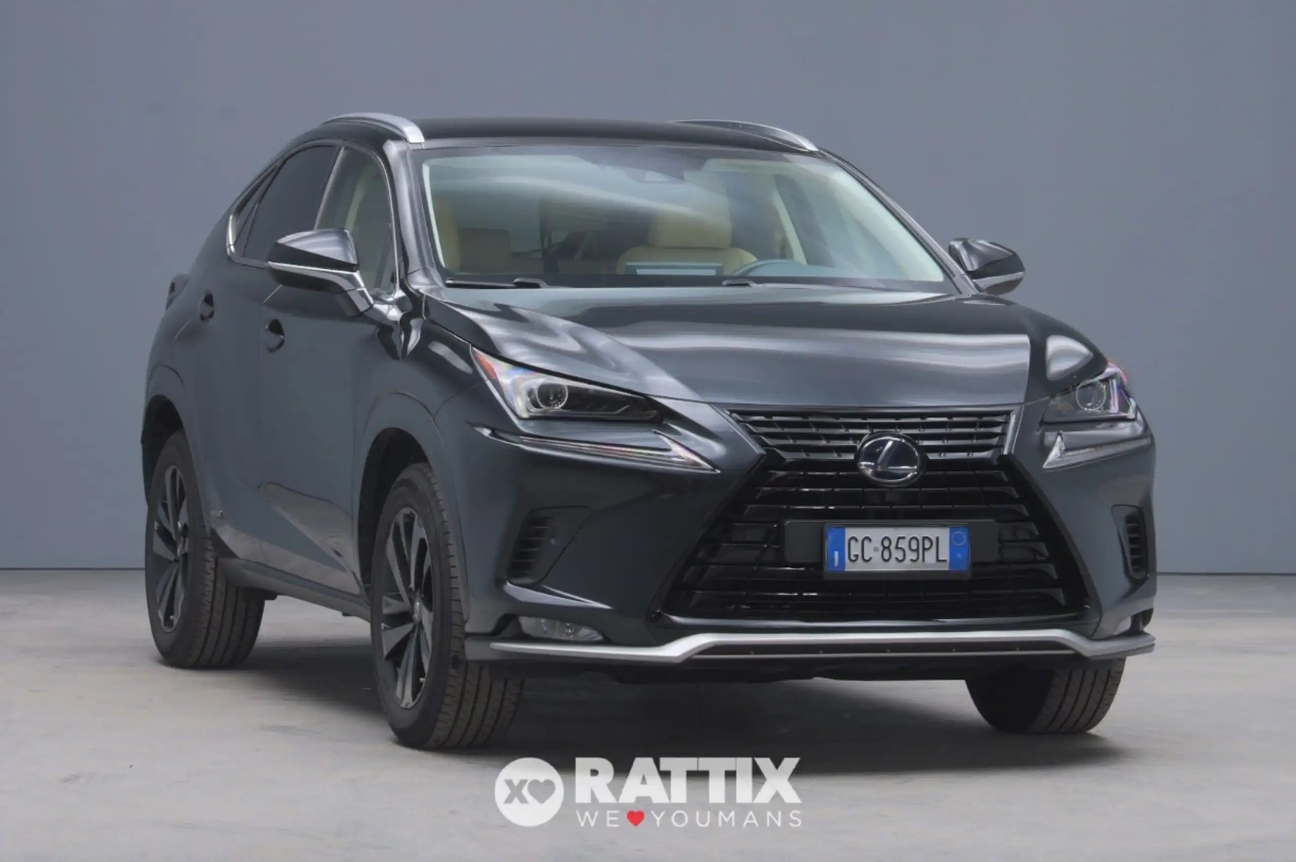 Lexus - NX 300h