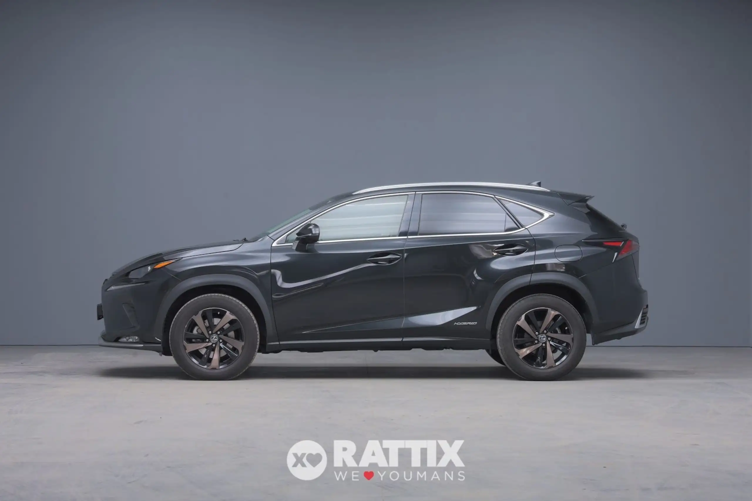 Lexus - NX 300h