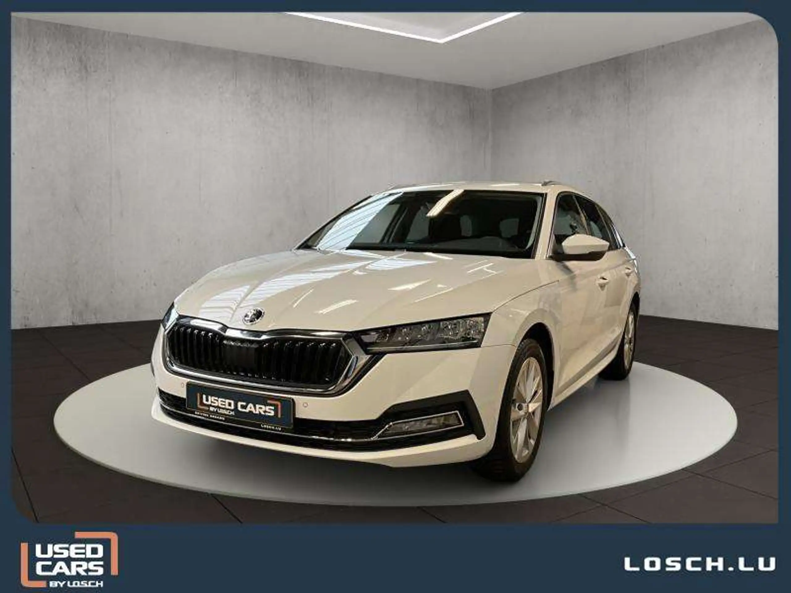 Skoda - Octavia