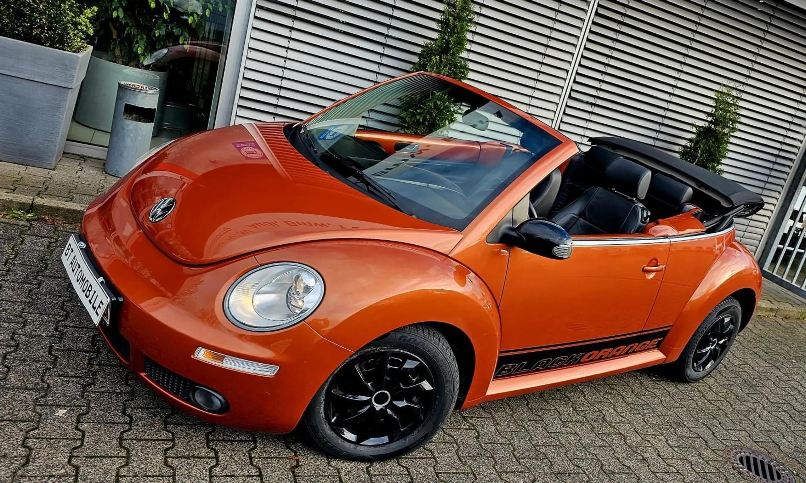 Volkswagen - New Beetle