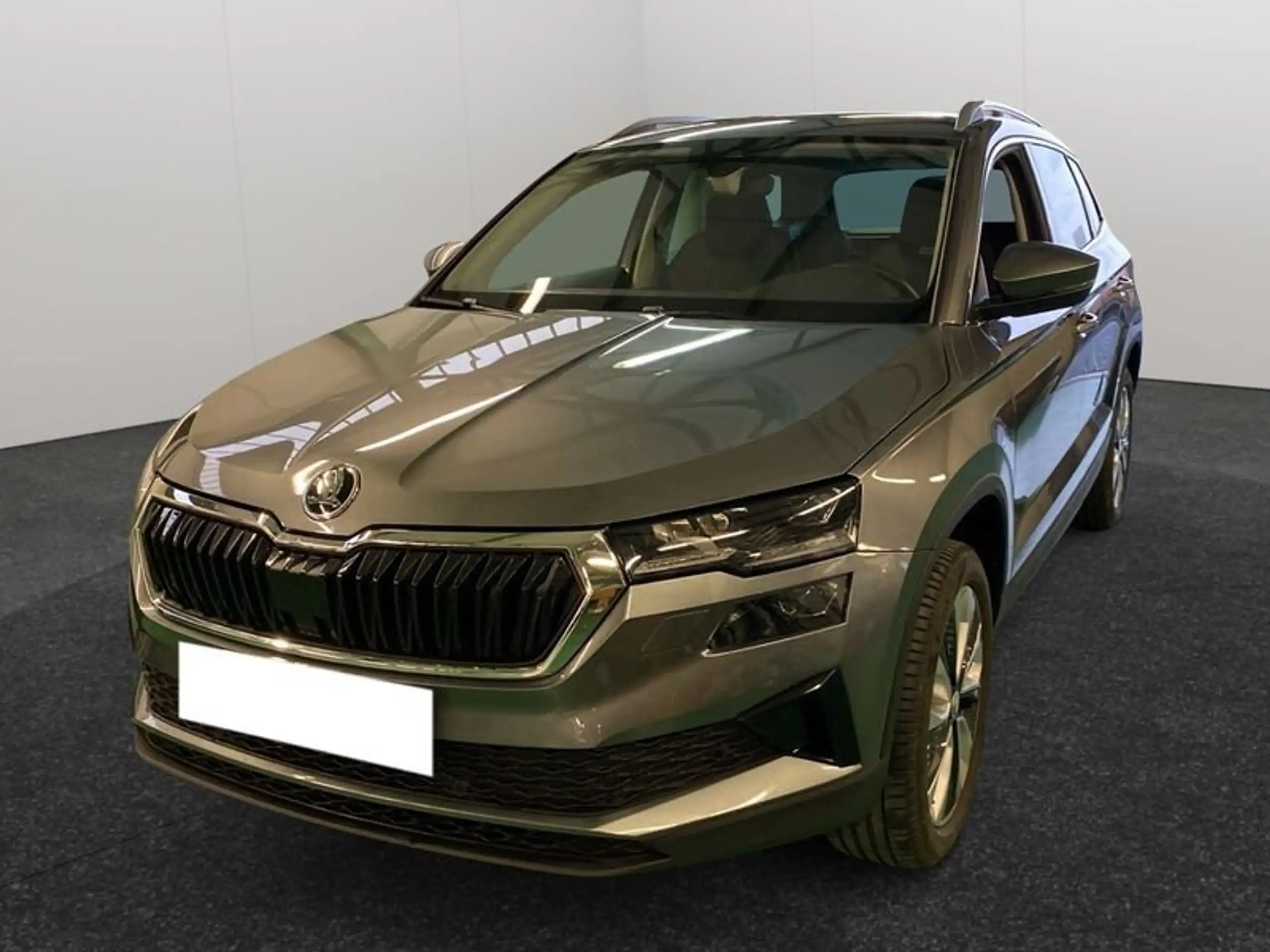 Skoda - Karoq