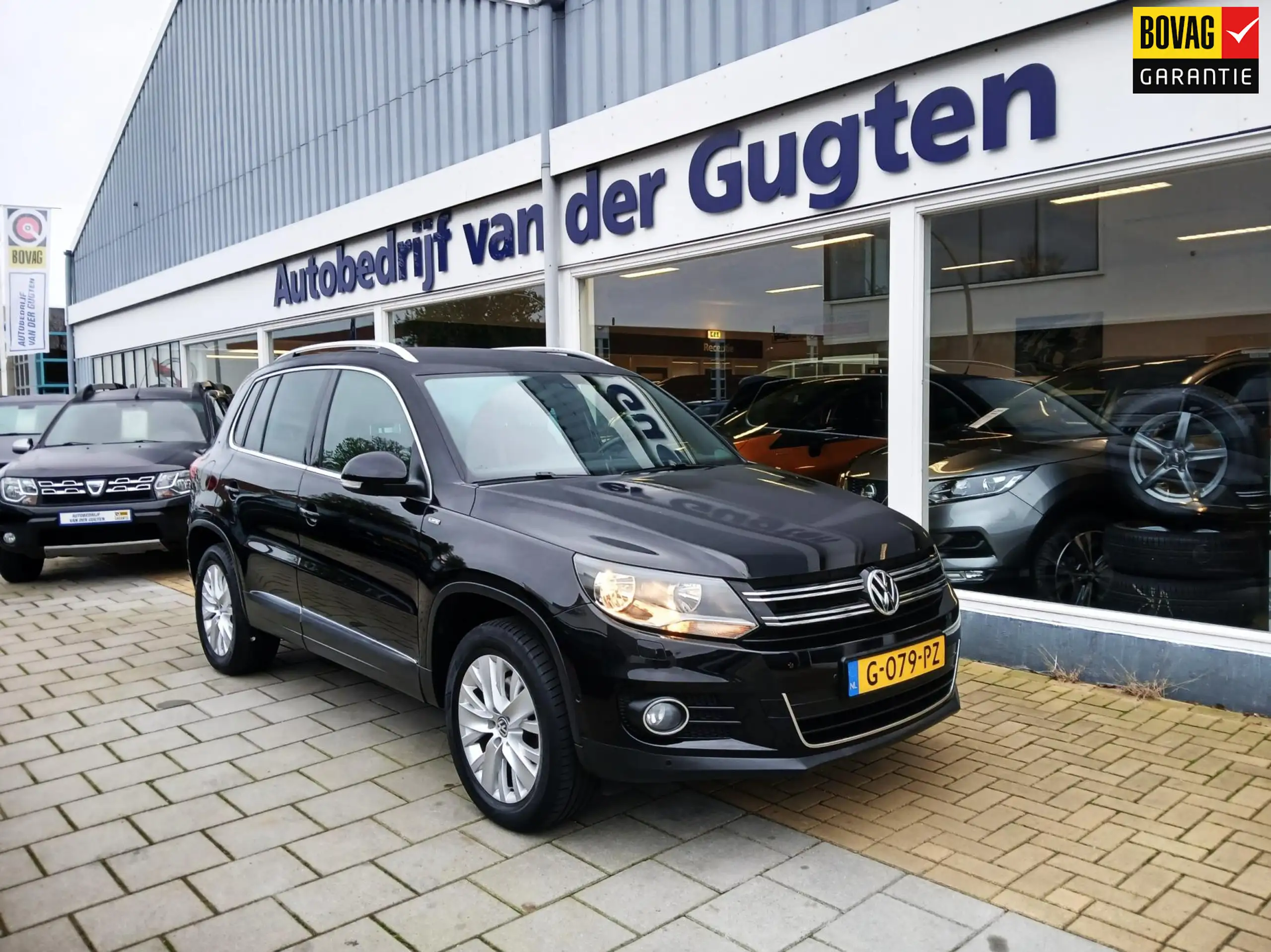 Volkswagen - Tiguan