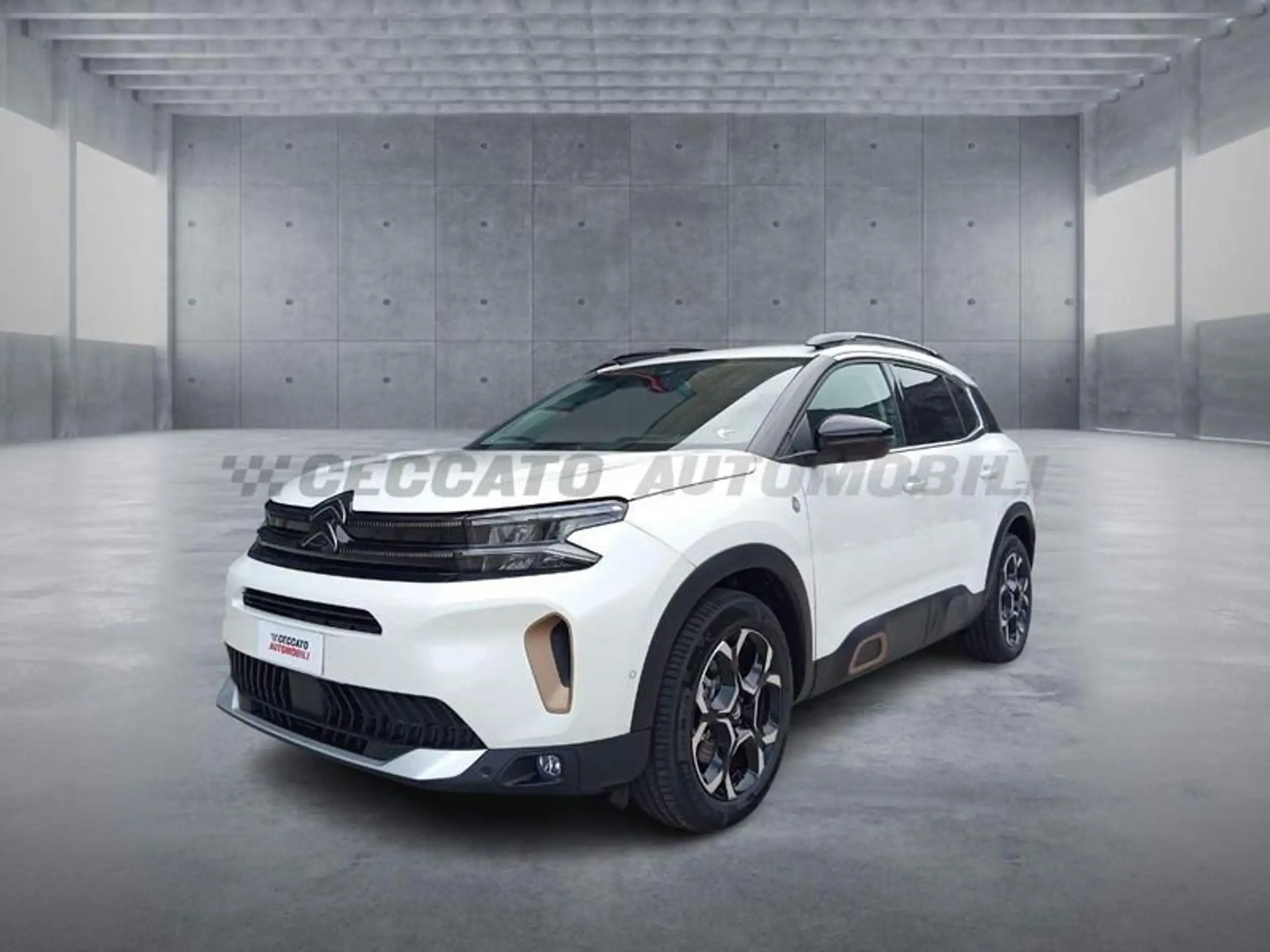 Citroen C5 Aircross 2023