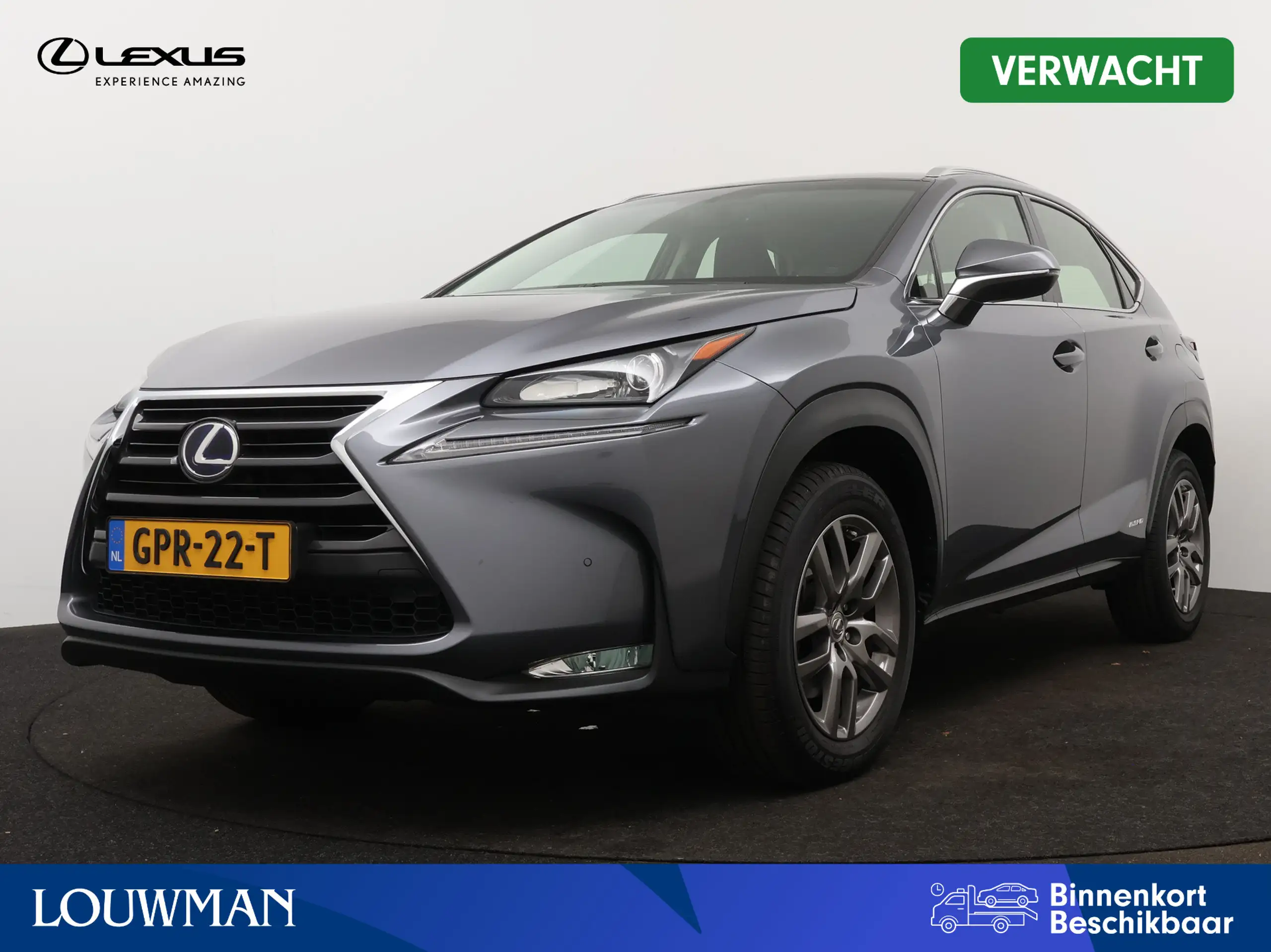 Lexus - NX 300h