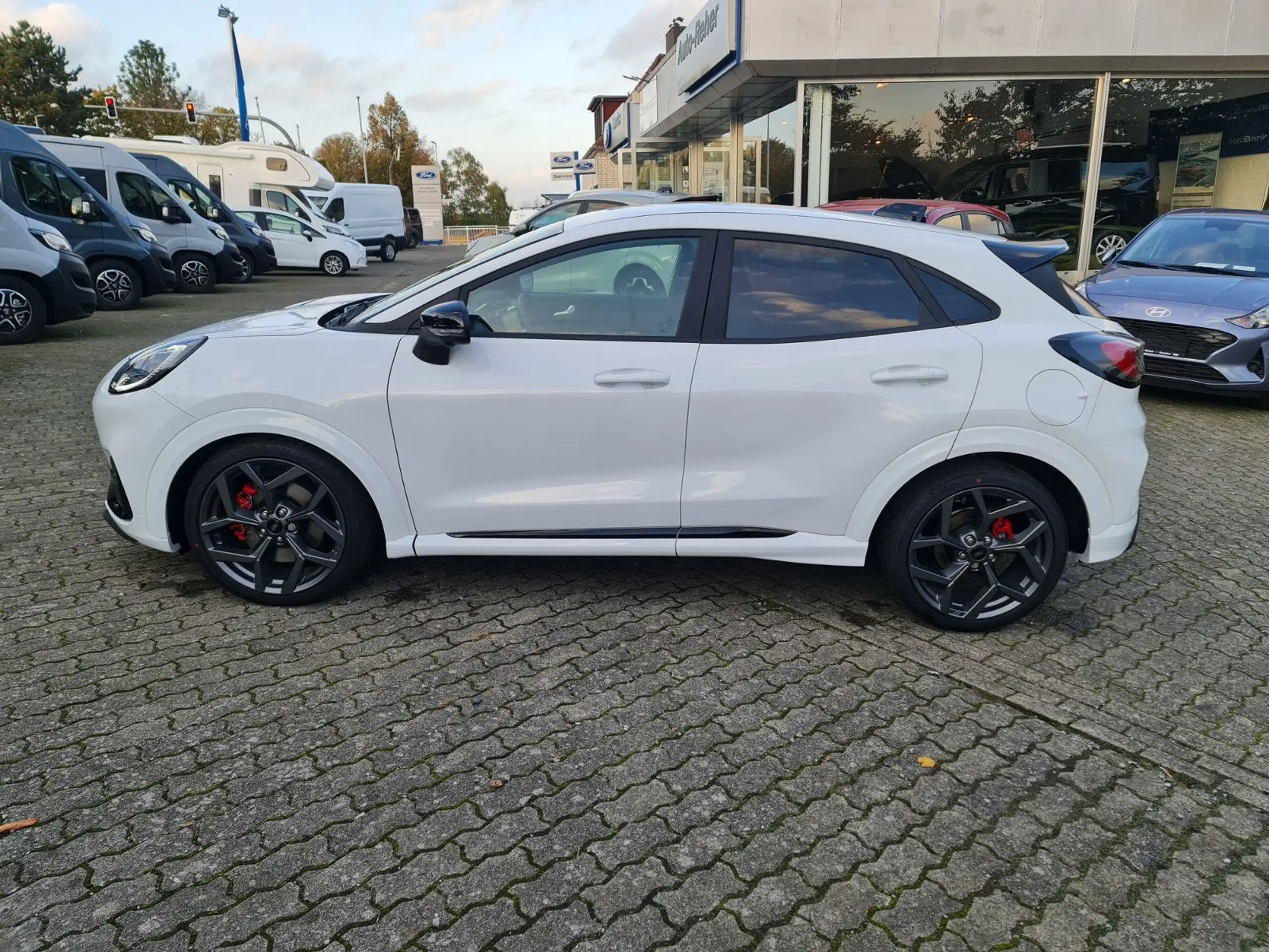 Ford - Puma