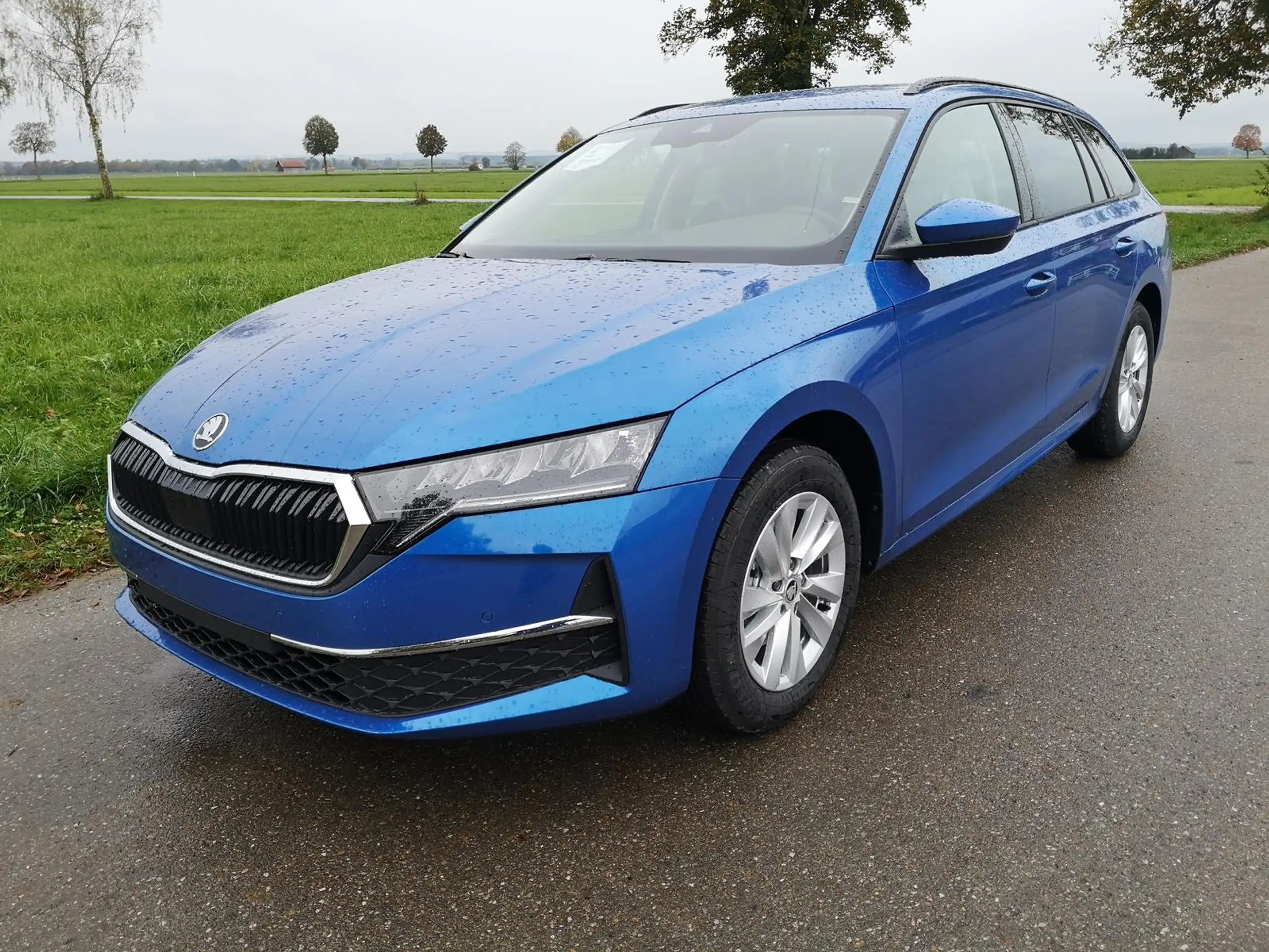 Skoda - Octavia