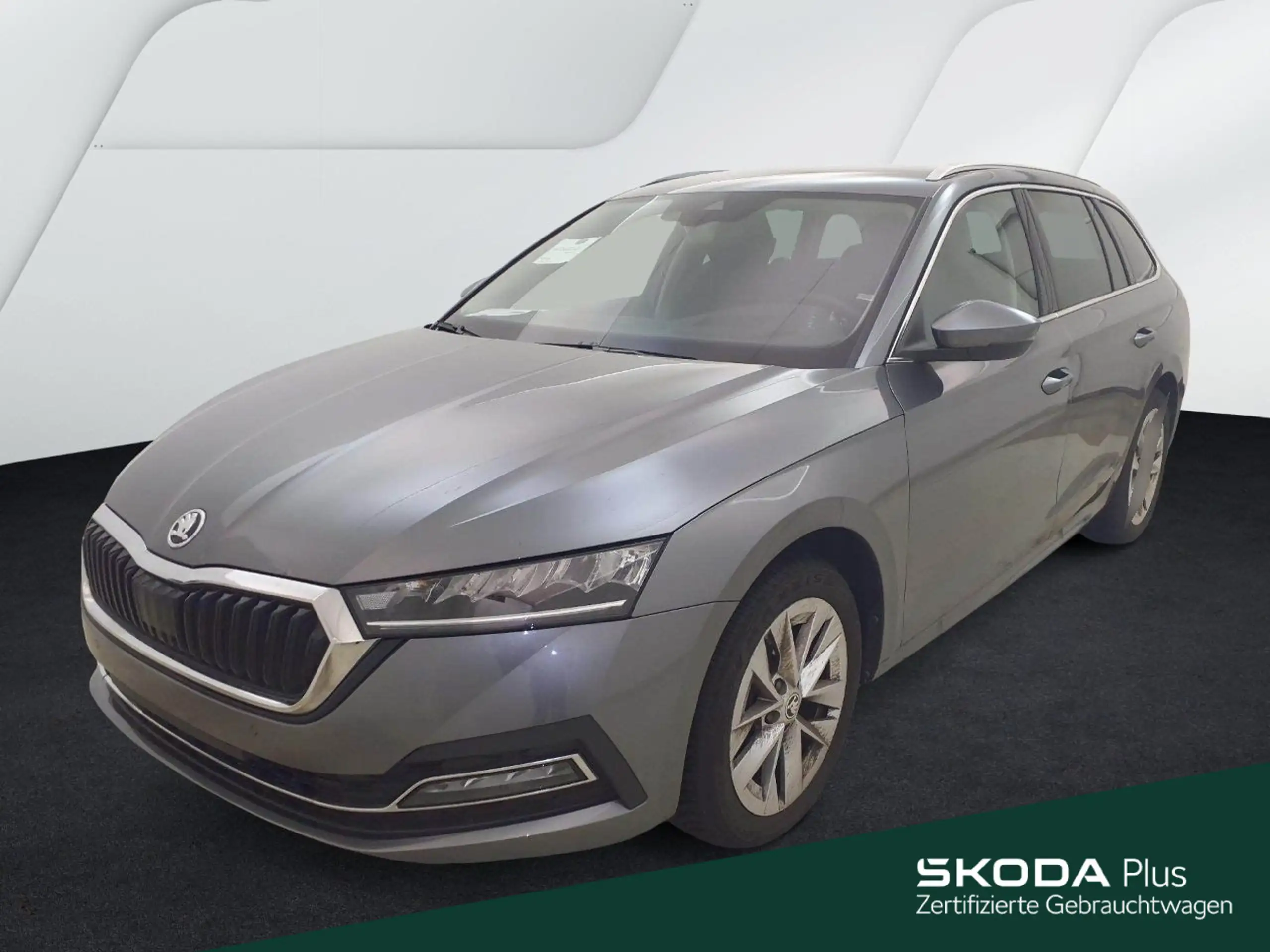 Skoda - Octavia