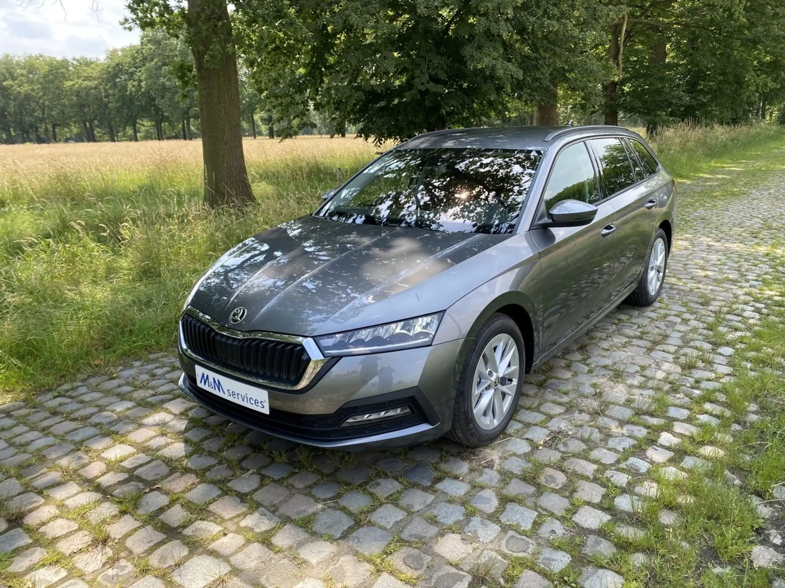 Skoda - Octavia