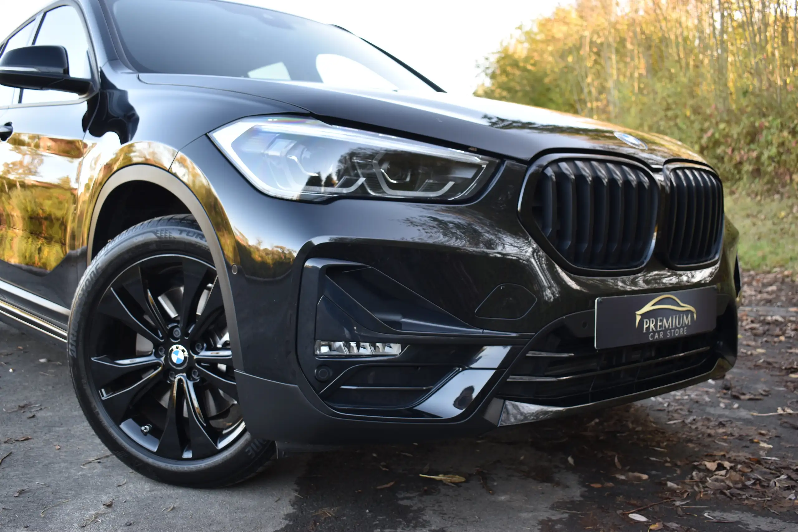 BMW - X1