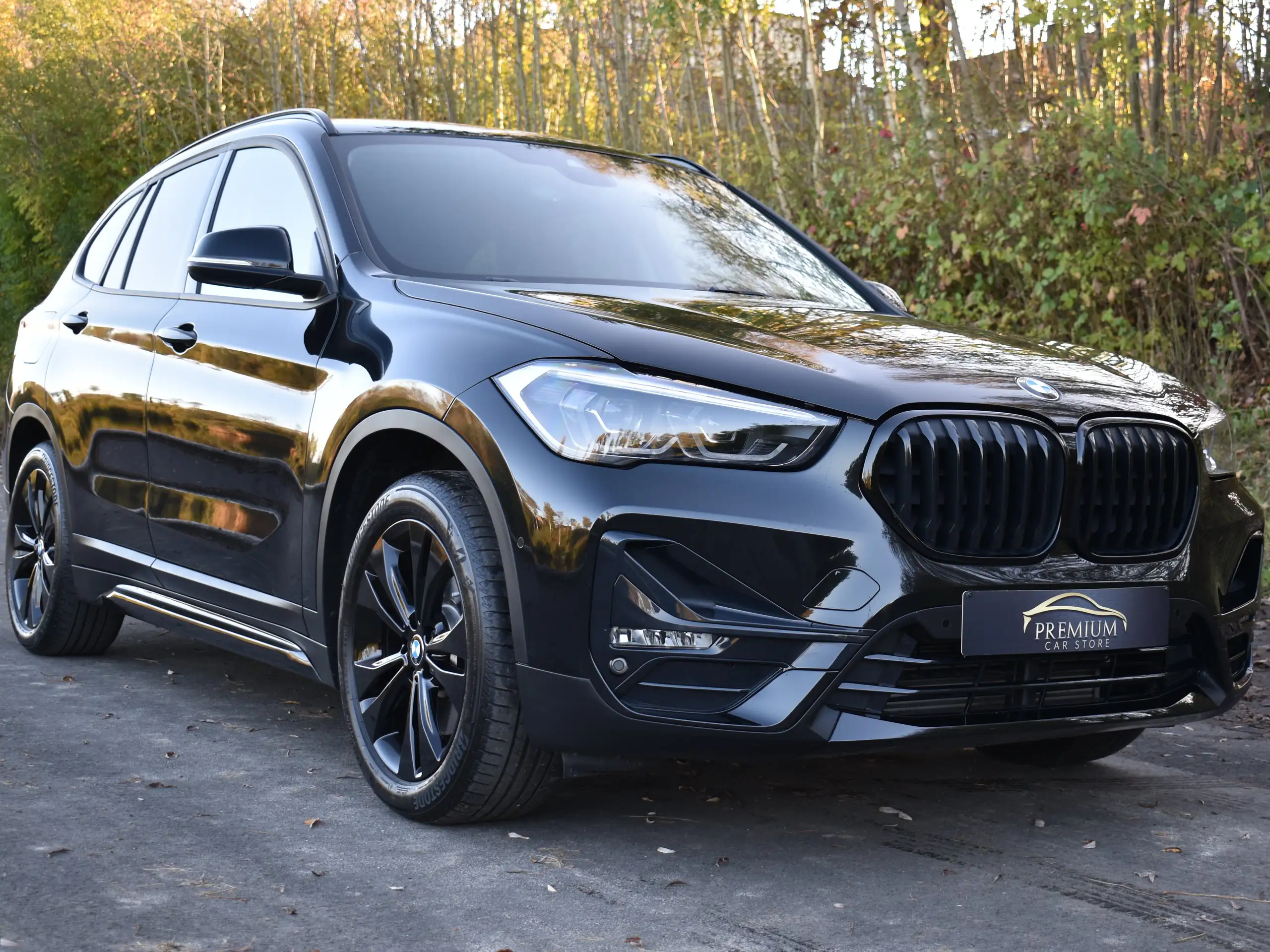 BMW - X1