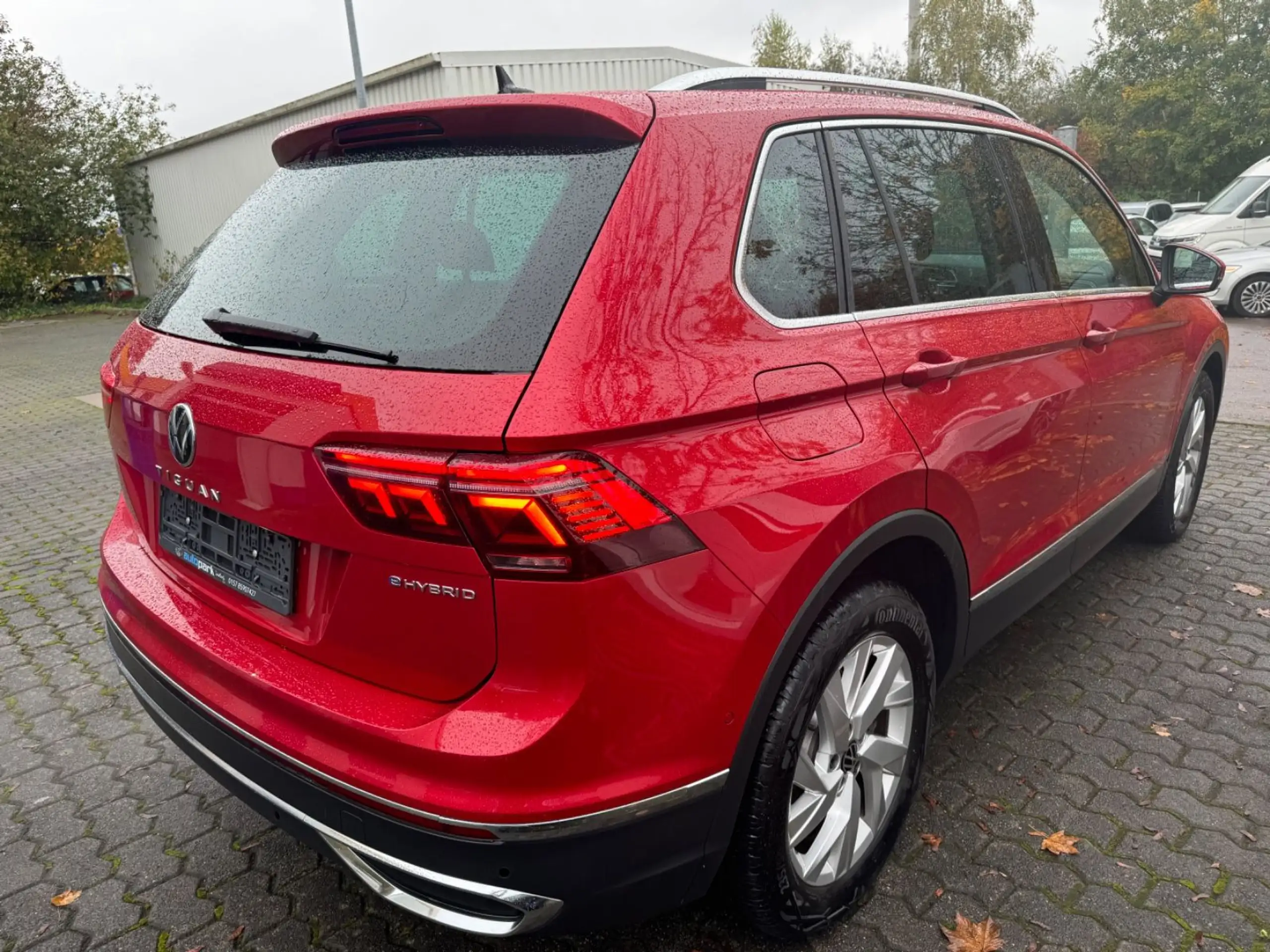 Volkswagen - Tiguan