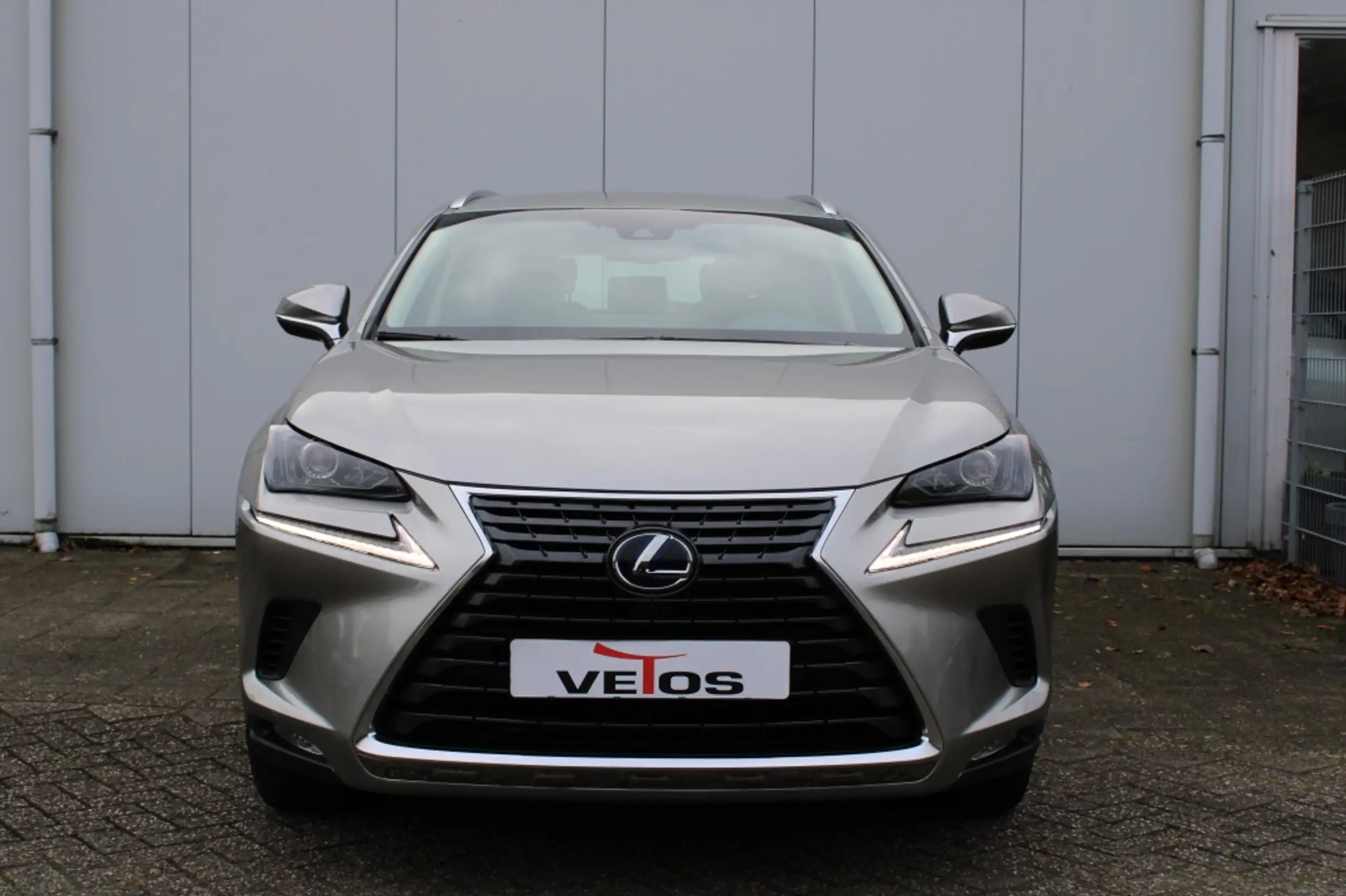 Lexus - NX 300h