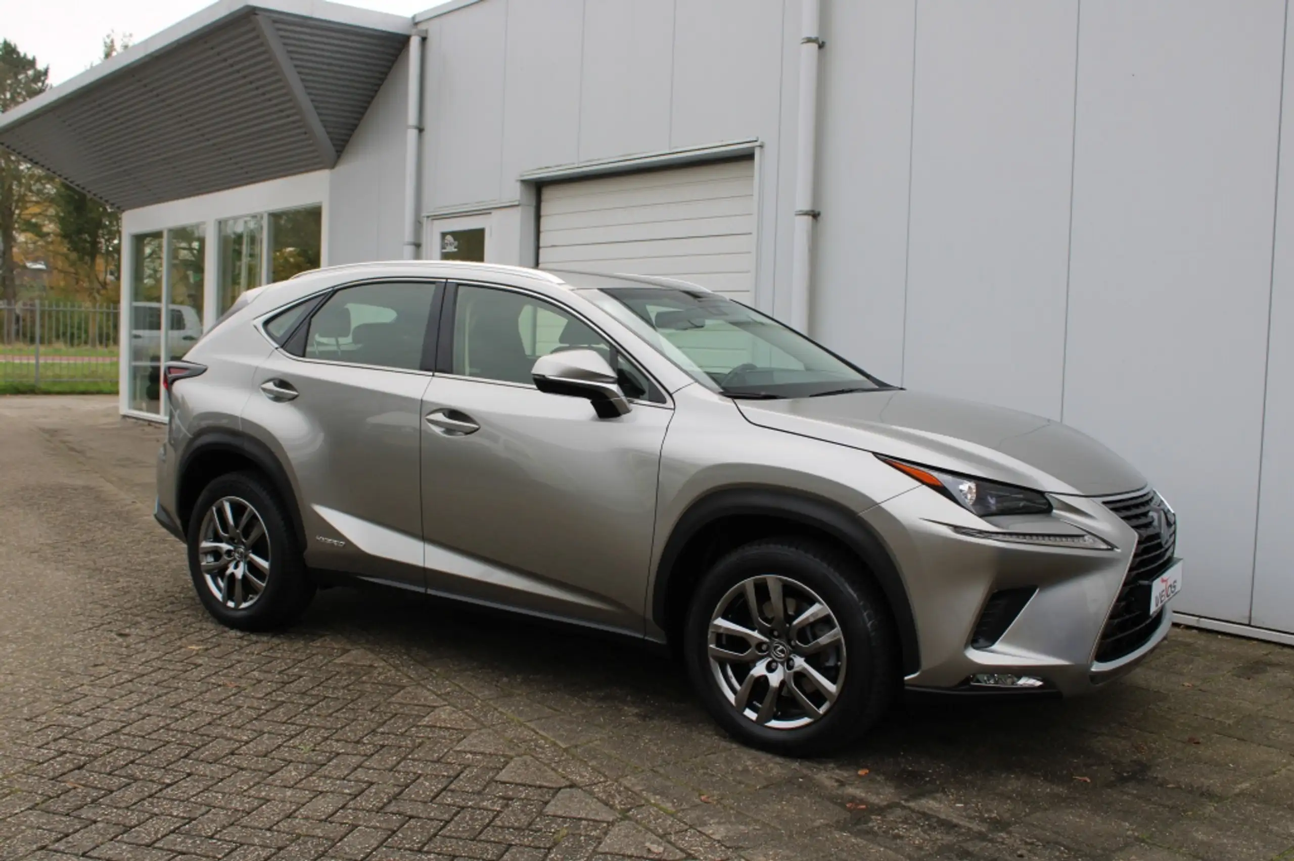 Lexus - NX 300h