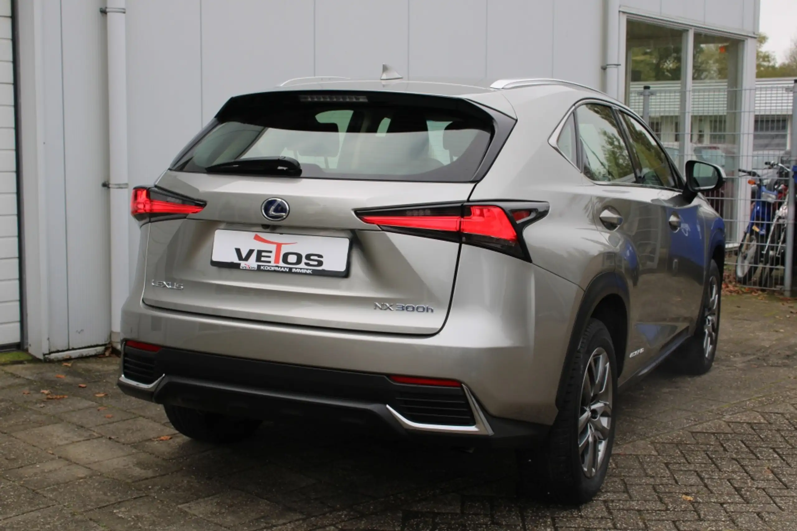 Lexus - NX 300h