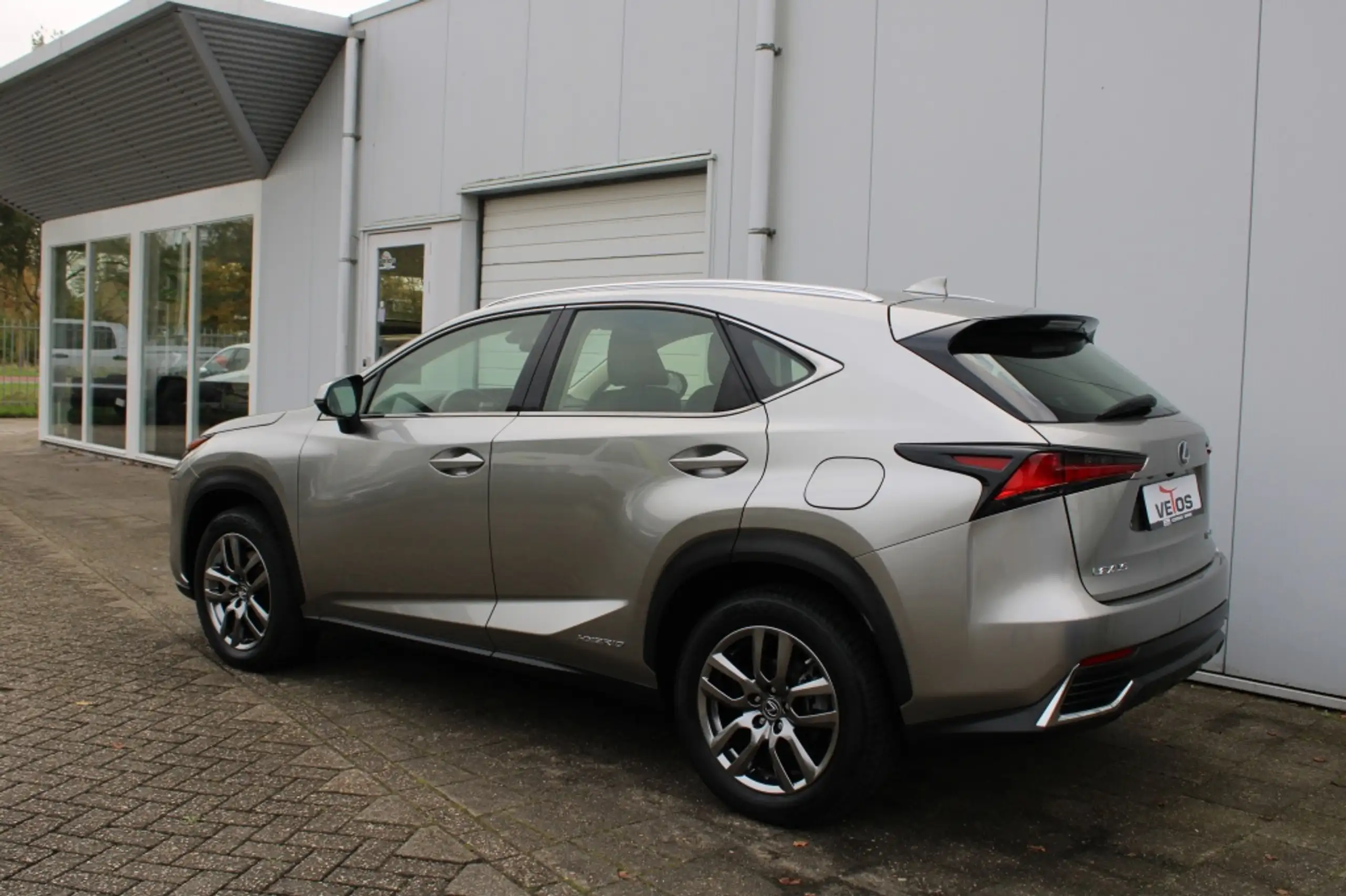 Lexus - NX 300h