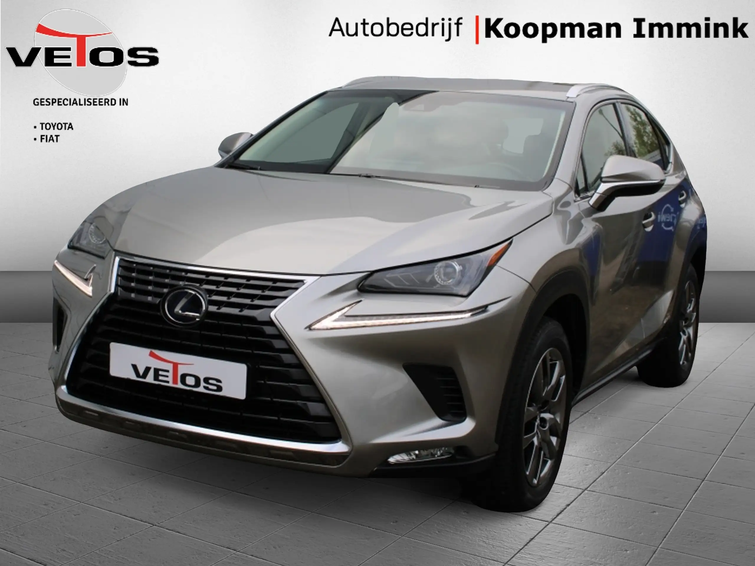 Lexus - NX 300h