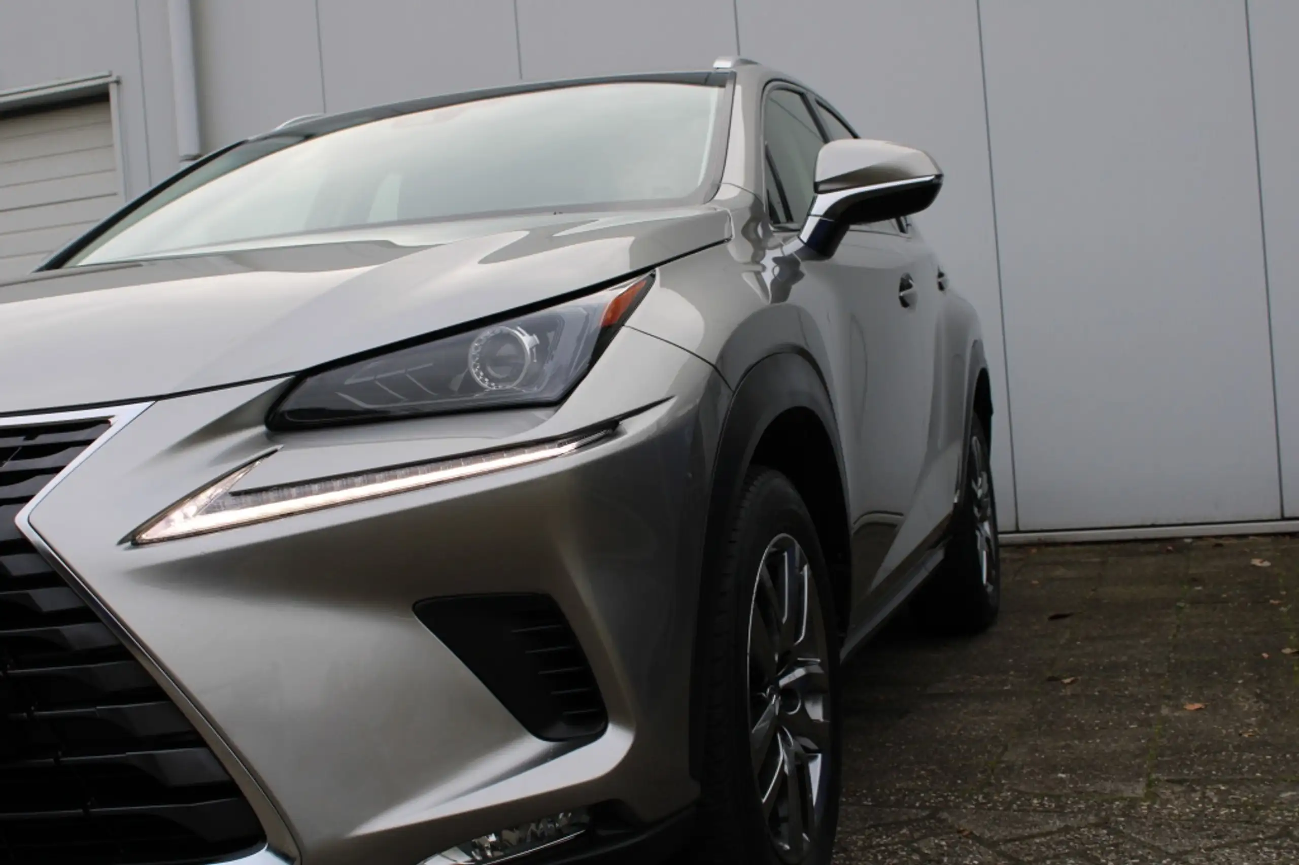 Lexus - NX 300h