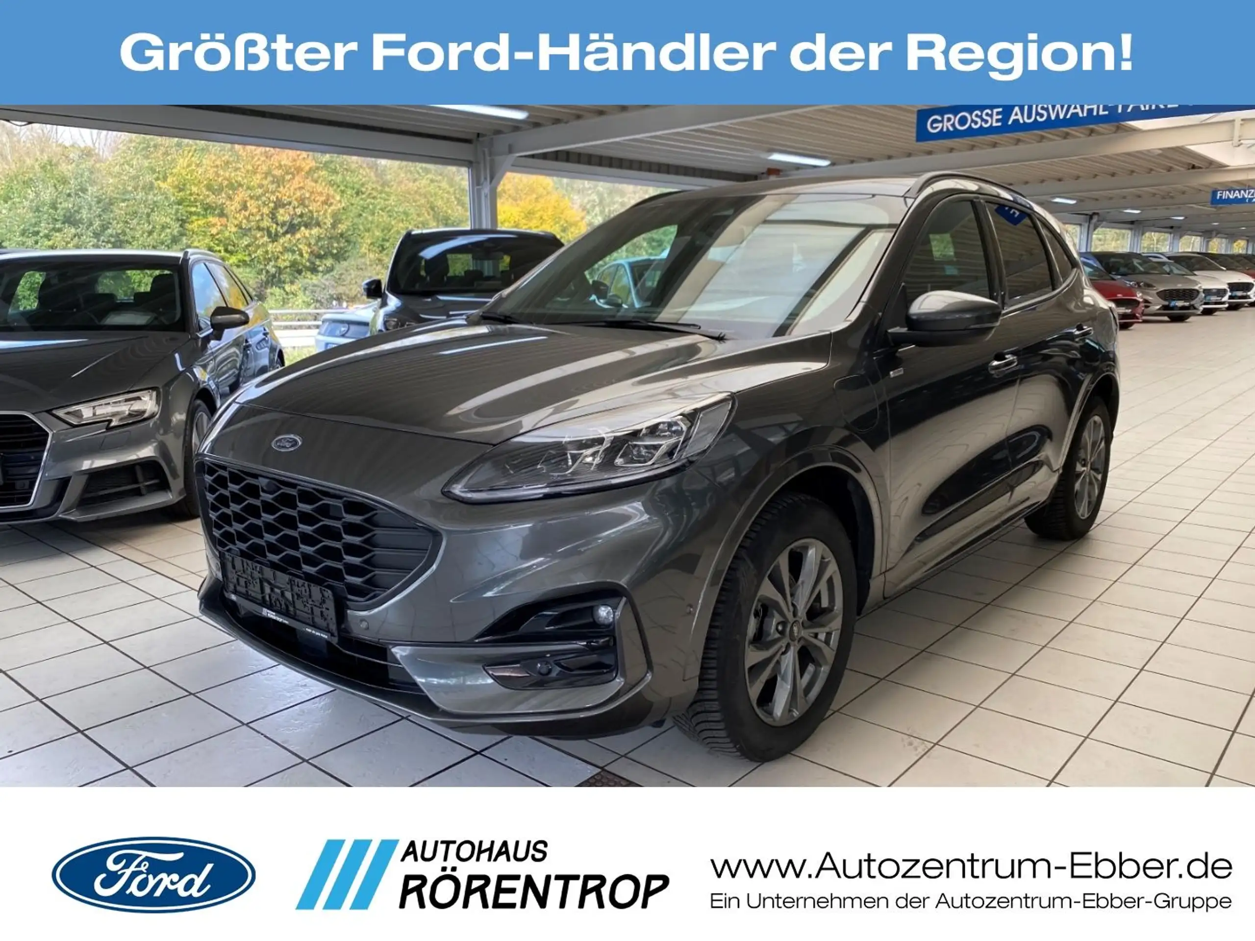 Ford - Kuga