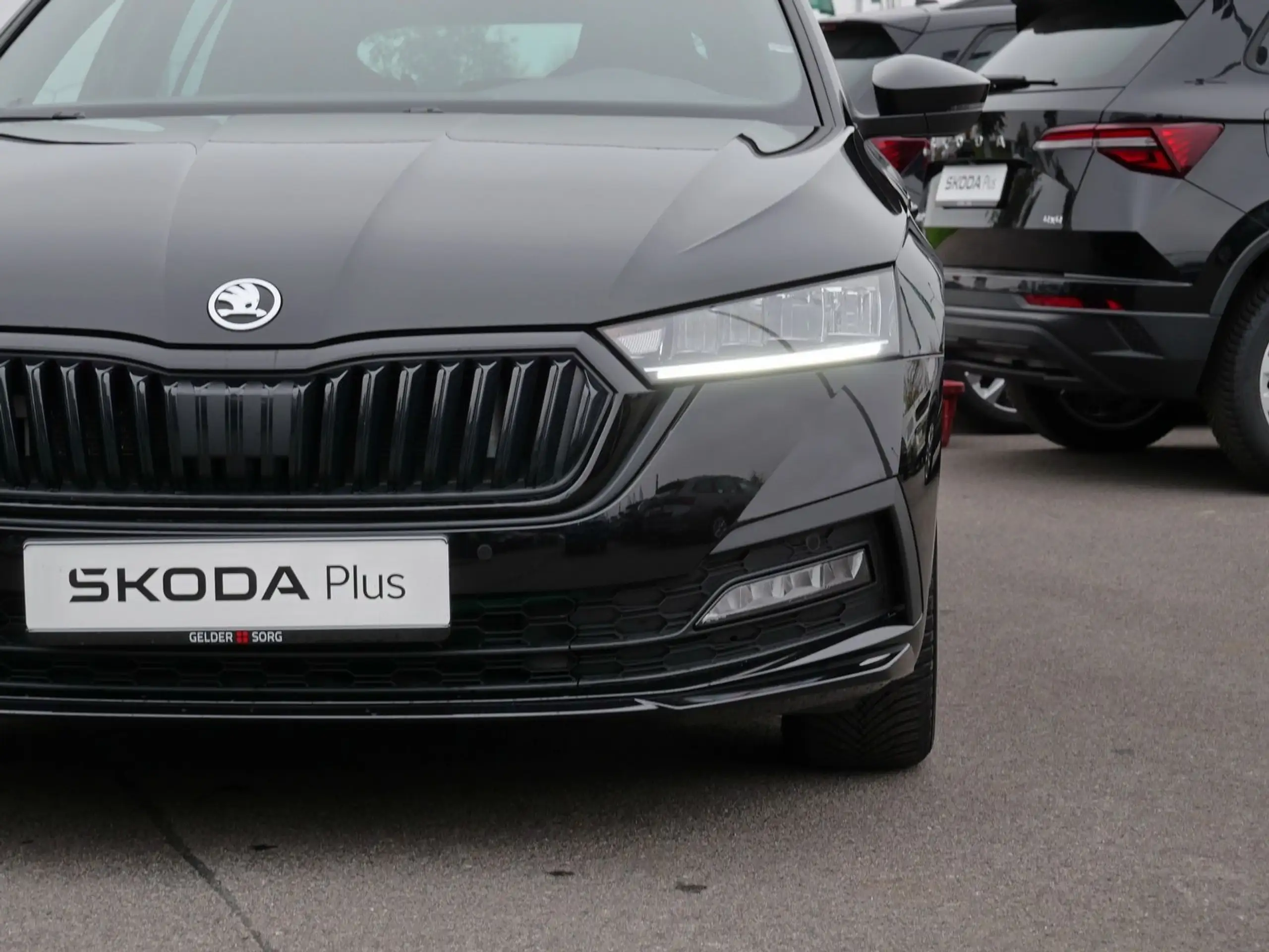 Skoda - Octavia