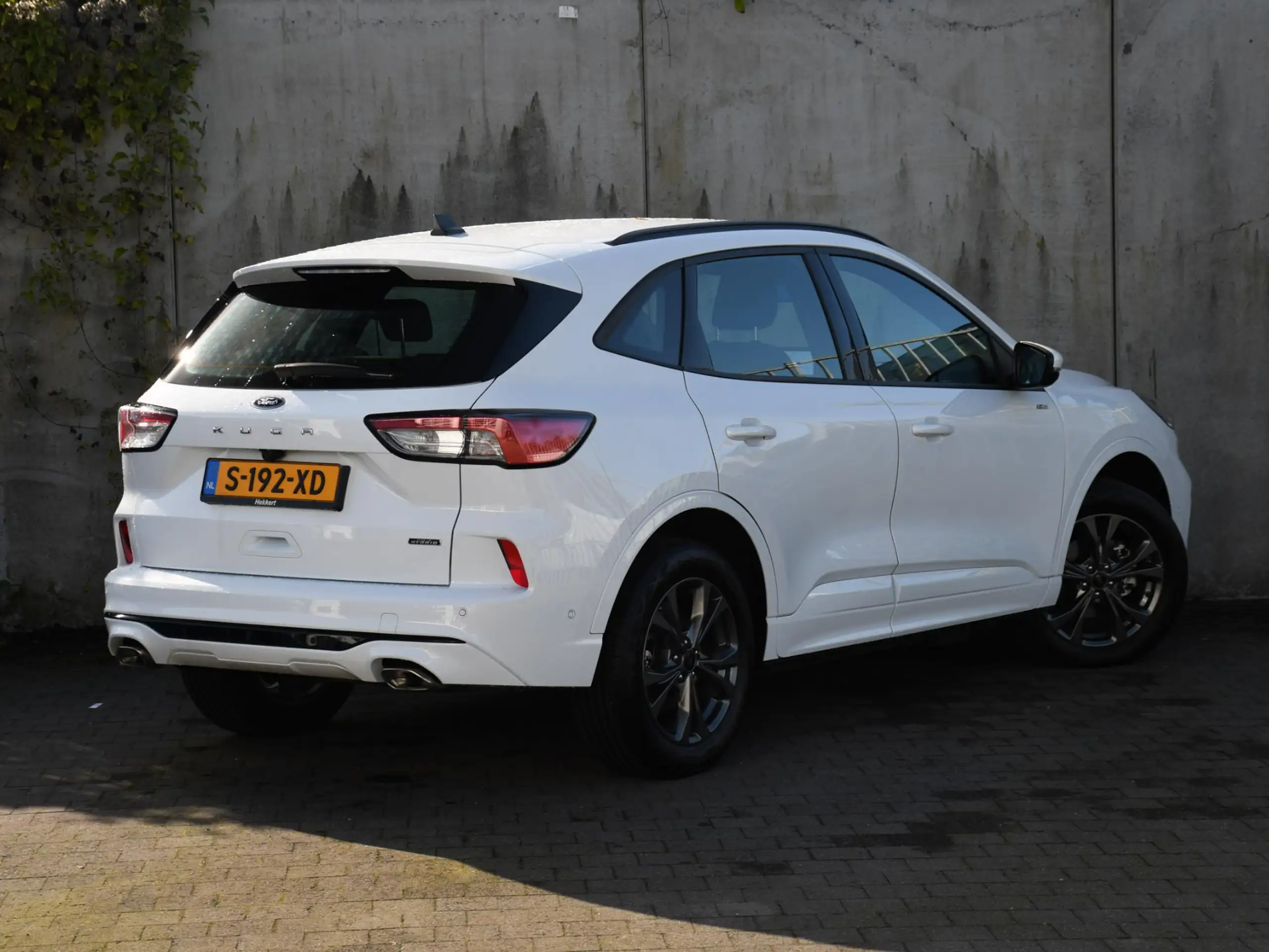 Ford - Kuga