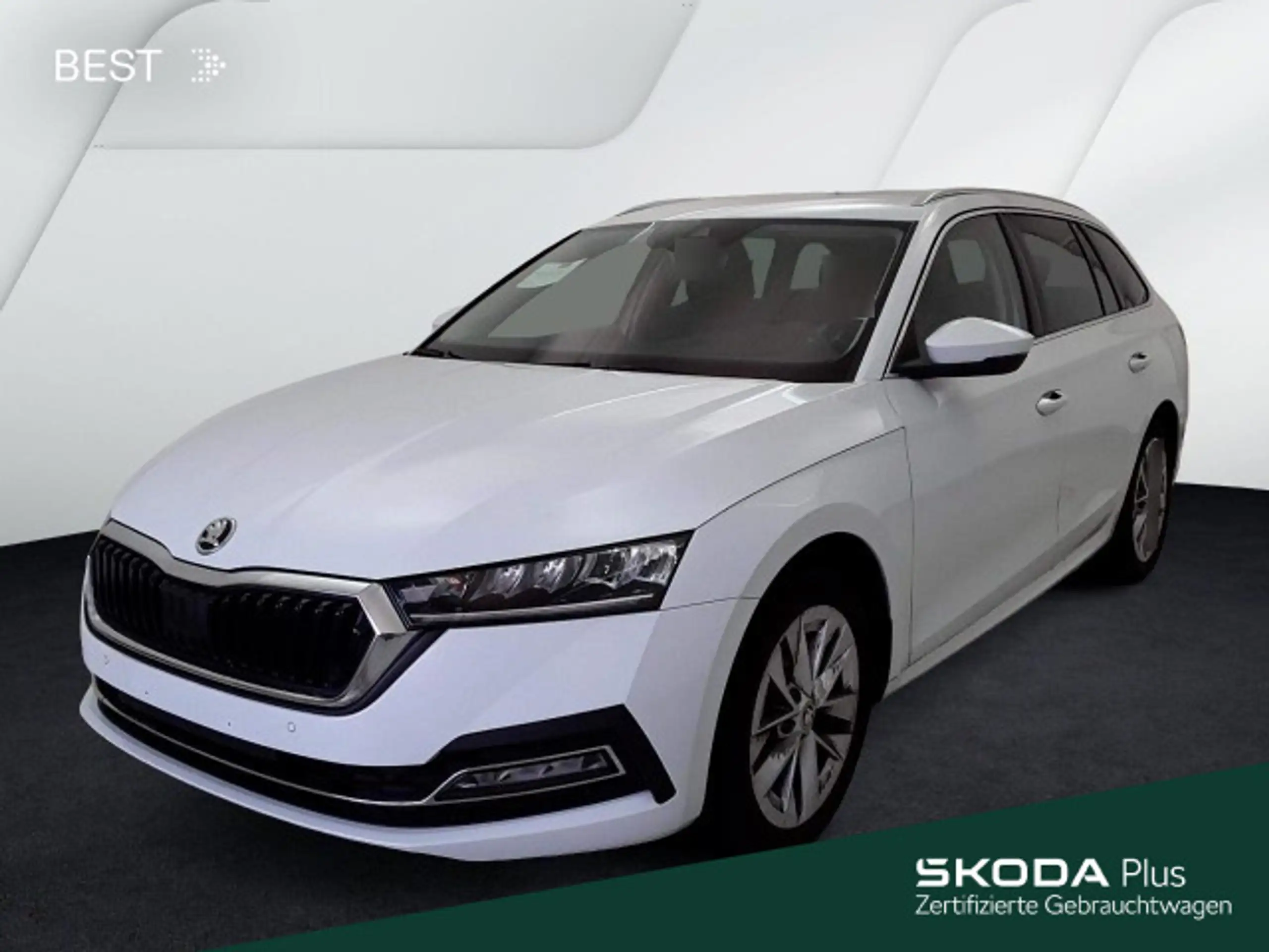 Skoda - Octavia