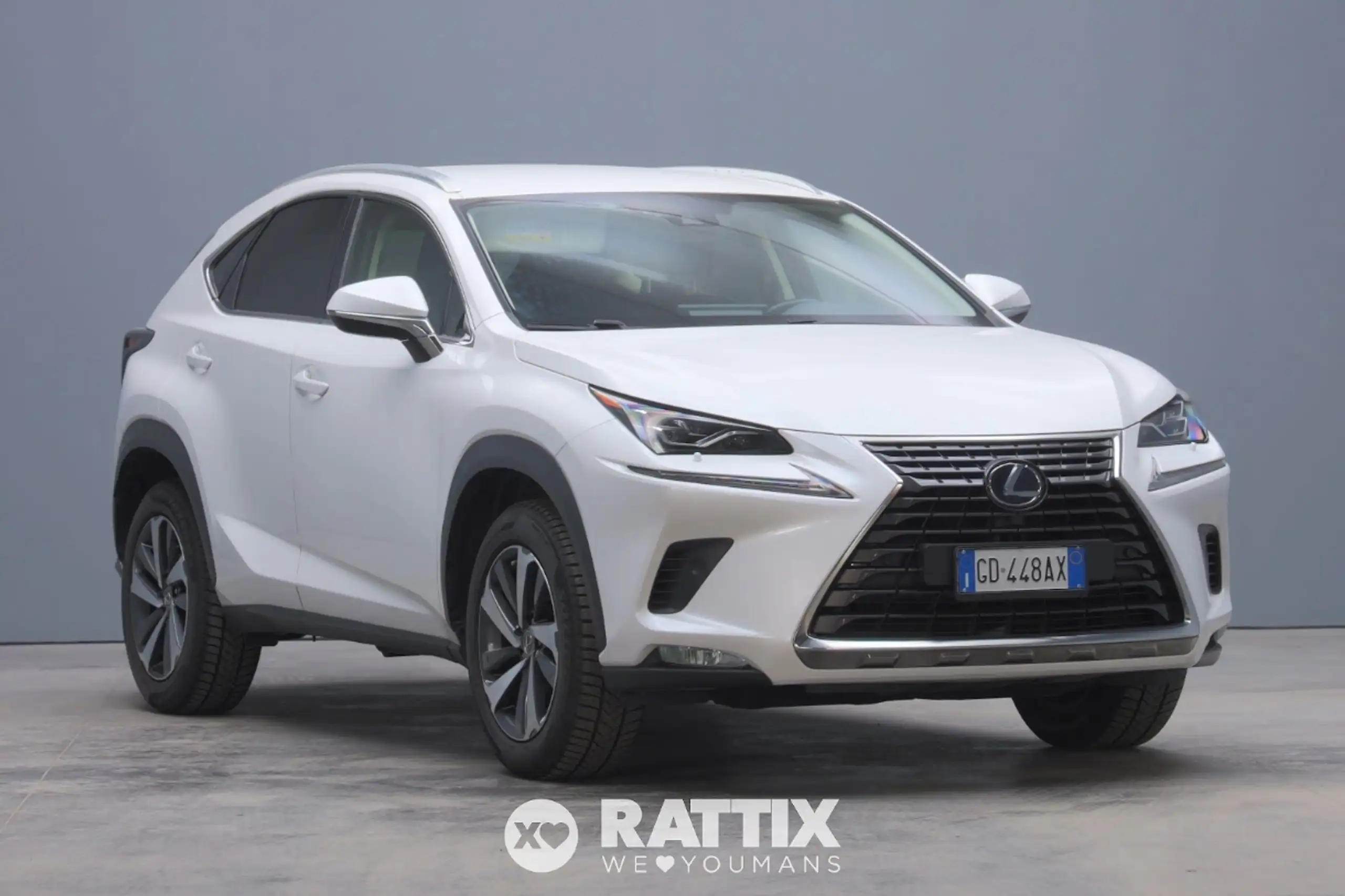 Lexus - NX 300h